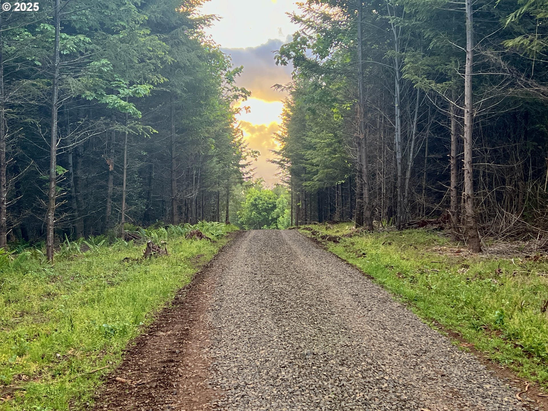 11892 SW Dupee Valley RD, Mc Minnville, OR, 97128