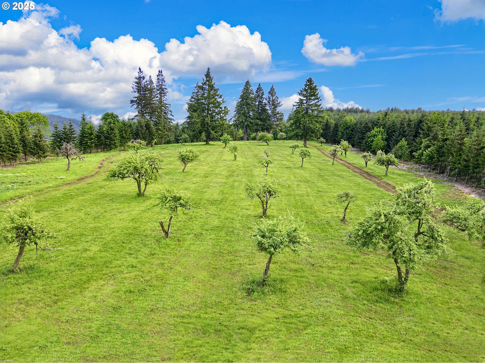 11892 SW Dupee Valley RD, Mc Minnville, OR, 97128