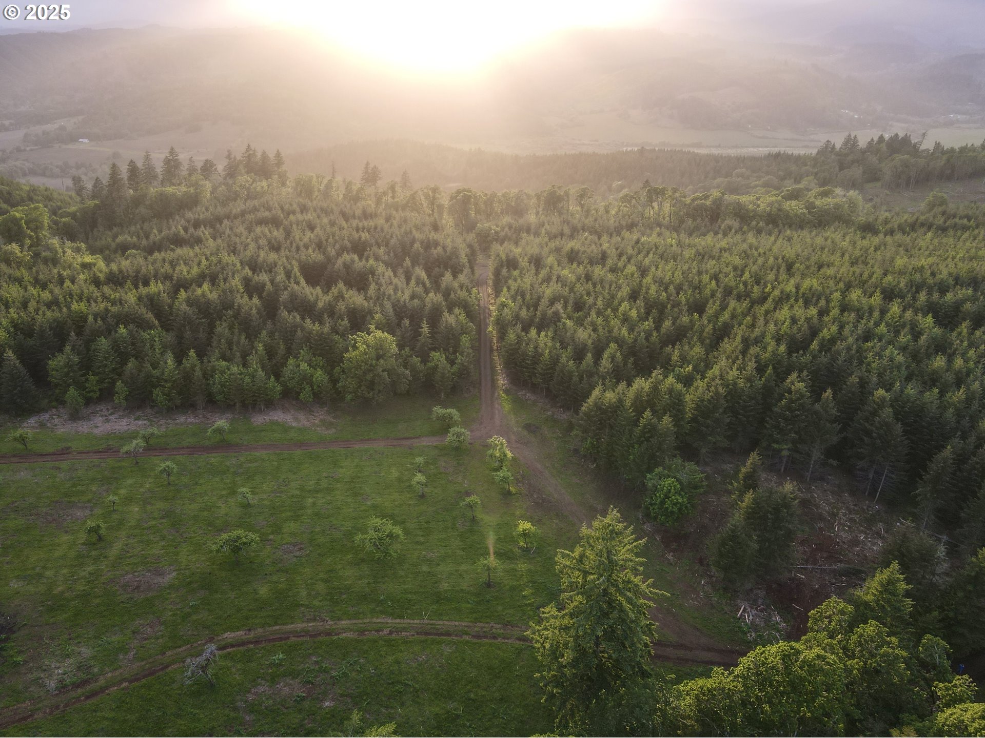 11892 SW Dupee Valley RD, Mc Minnville, OR, 97128