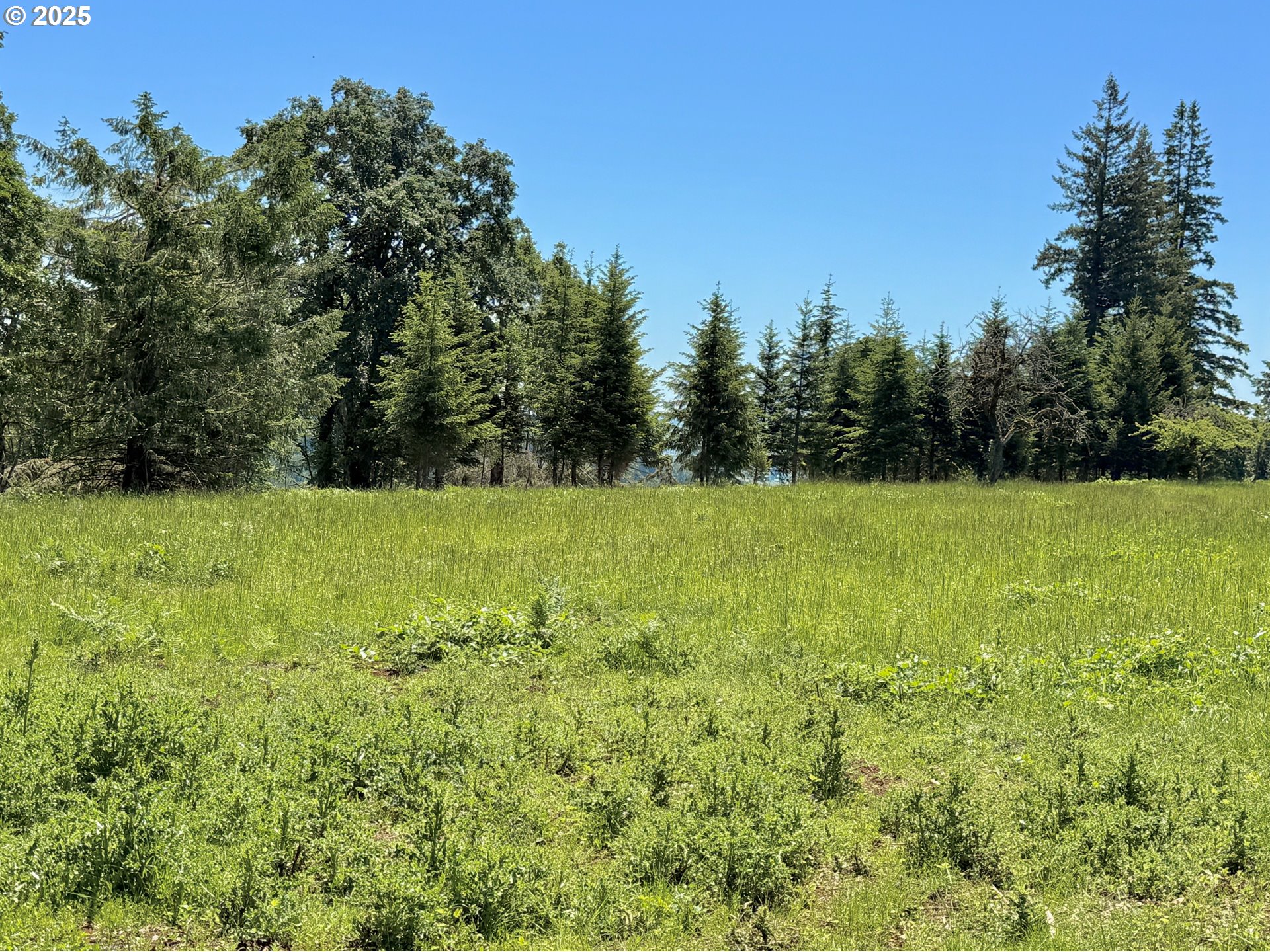 11892 SW Dupee Valley RD, Mc Minnville, OR, 97128