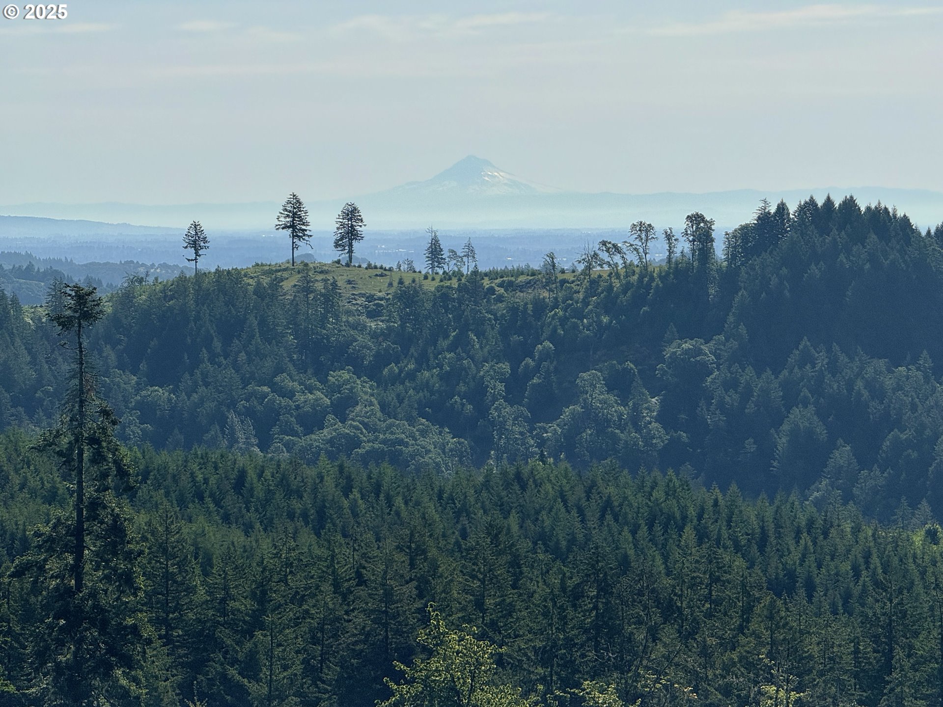 11892 SW Dupee Valley RD, Mc Minnville, OR, 97128