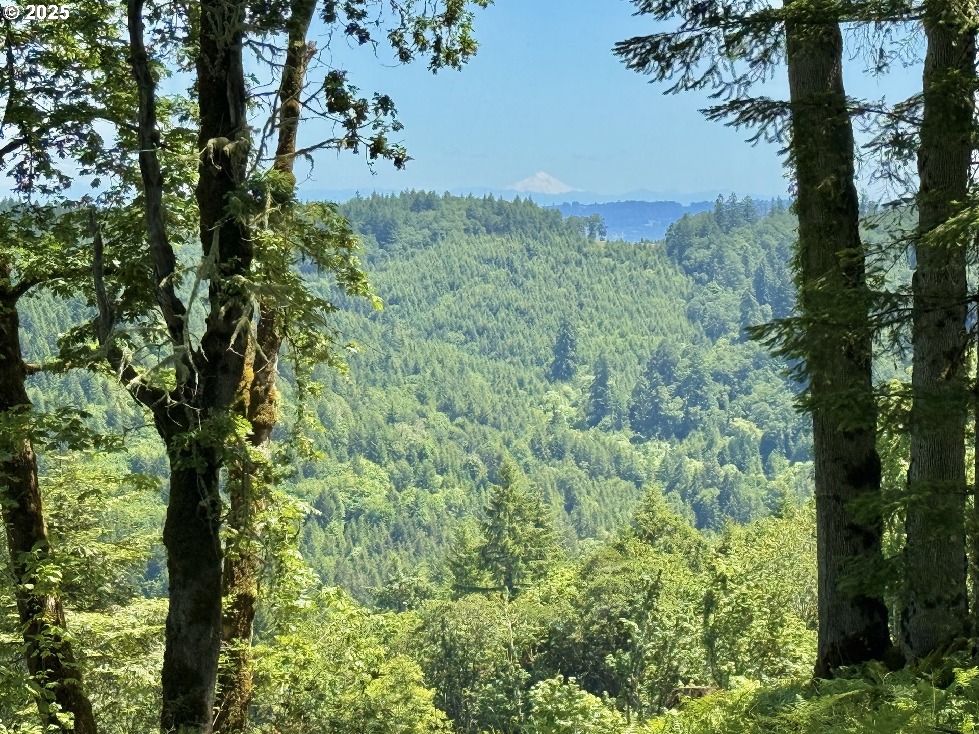 11892 SW Dupee Valley RD, Mc Minnville, OR, 97128