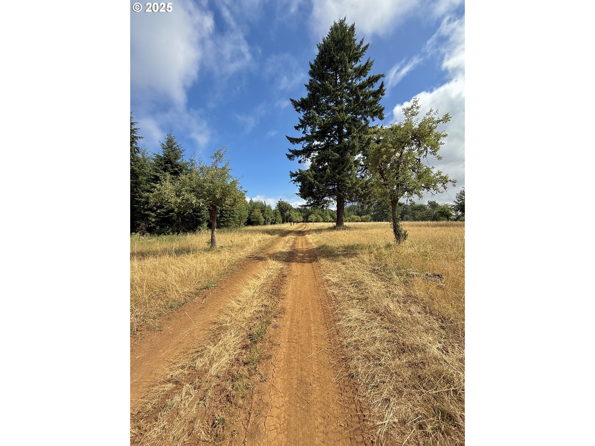 11892 SW Dupee Valley RD, Mc Minnville, OR, 97128