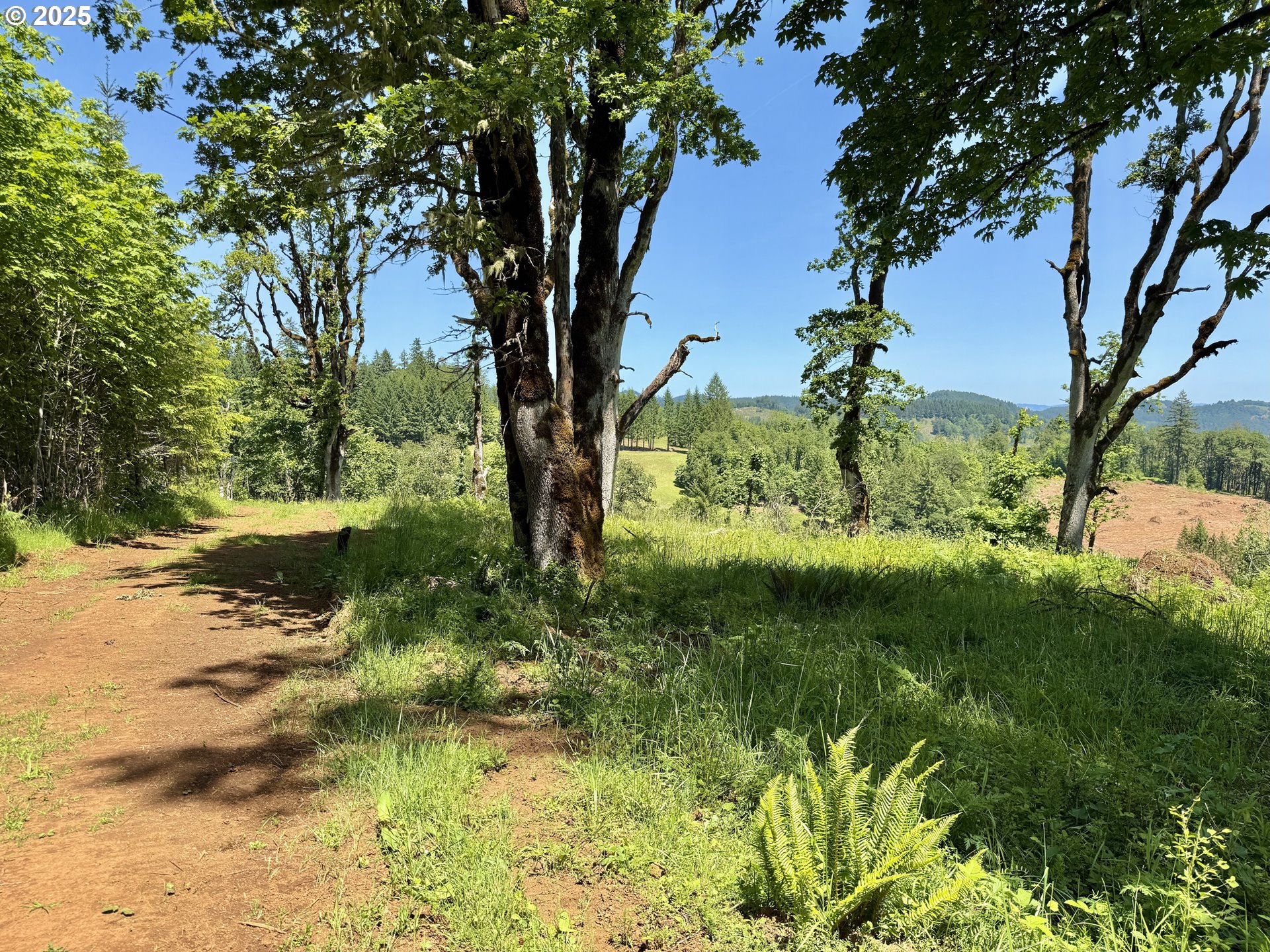 11892 SW Dupee Valley RD, Mc Minnville, OR, 97128