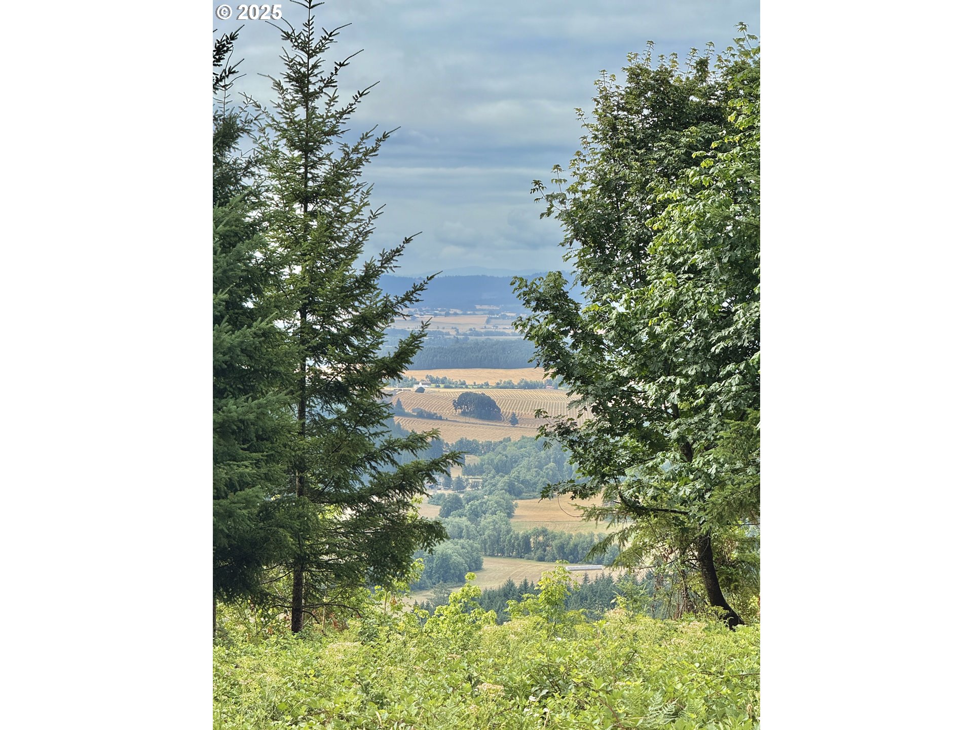 11892 SW Dupee Valley RD, Mc Minnville, OR, 97128