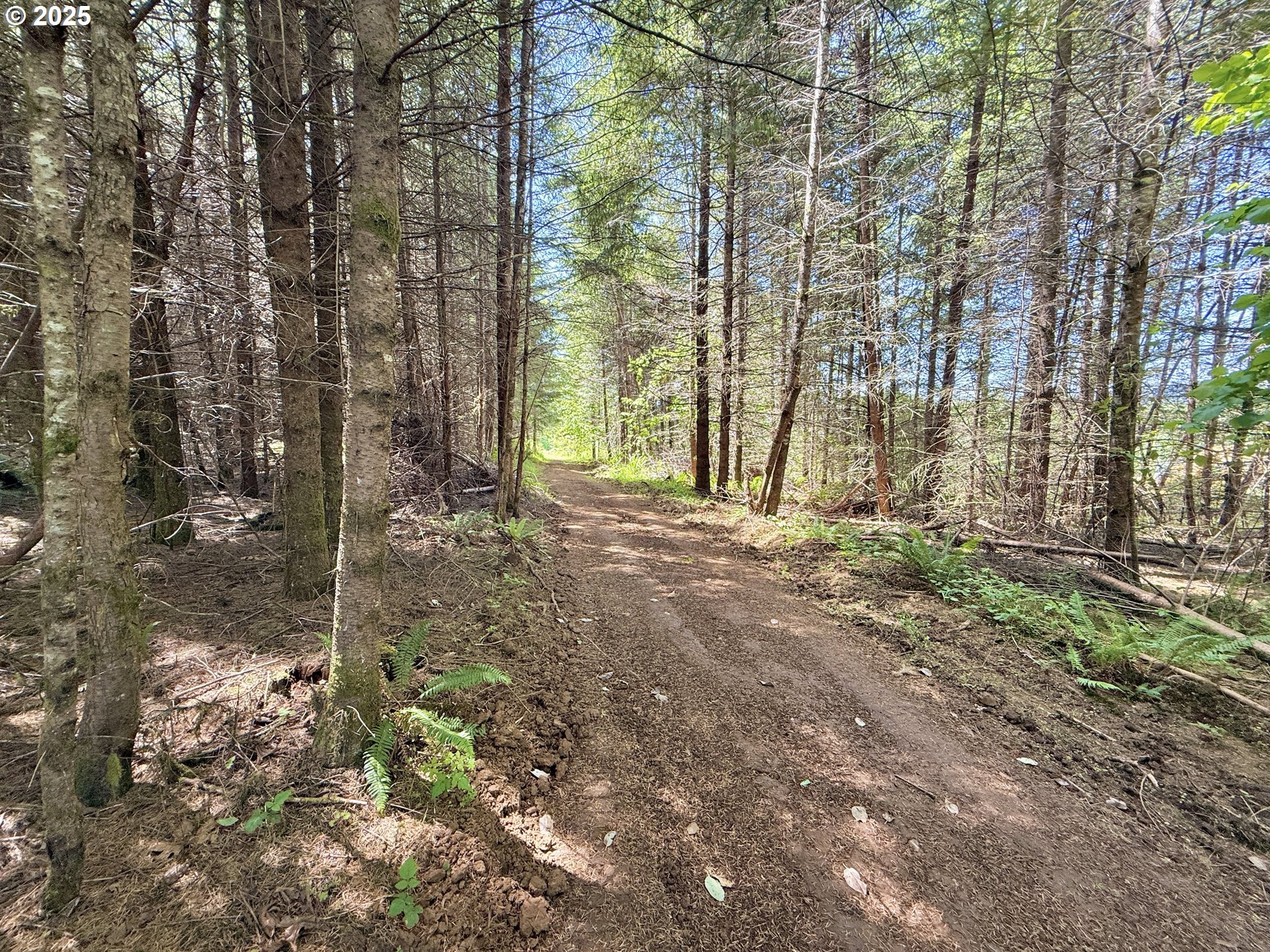 11892 SW Dupee Valley RD, Mc Minnville, OR, 97128