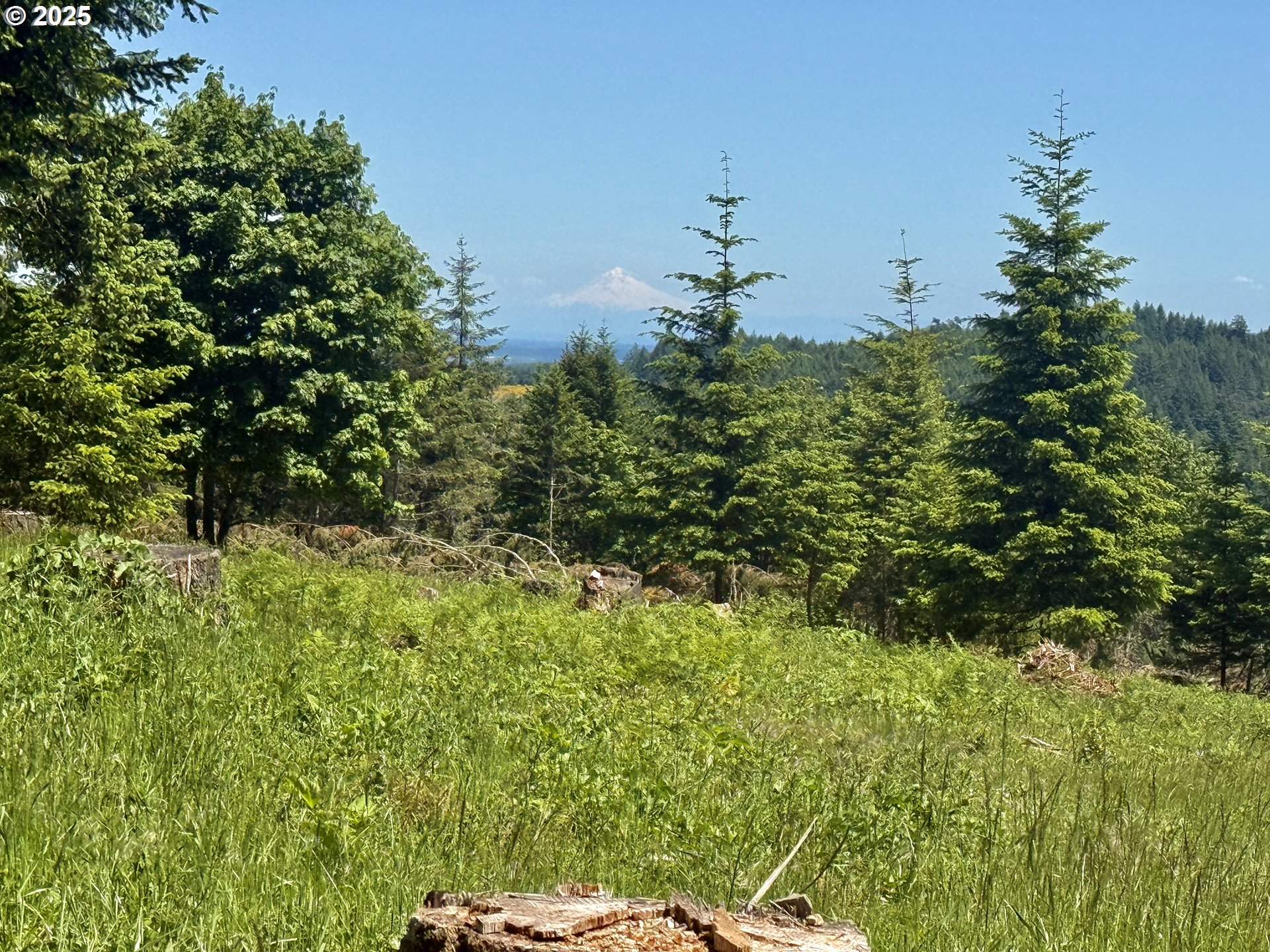 11892 SW Dupee Valley RD, Mc Minnville, OR, 97128