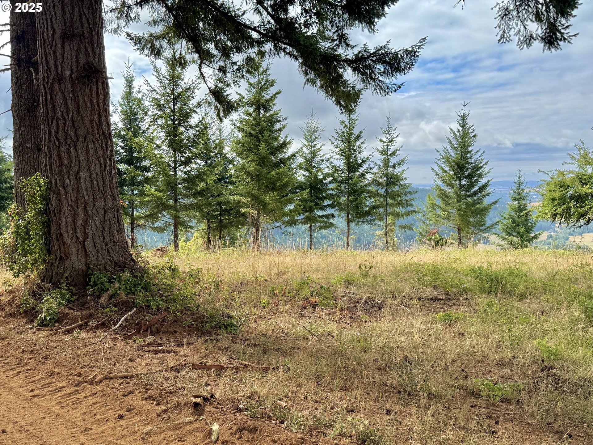 11892 SW Dupee Valley RD, Mc Minnville, OR, 97128