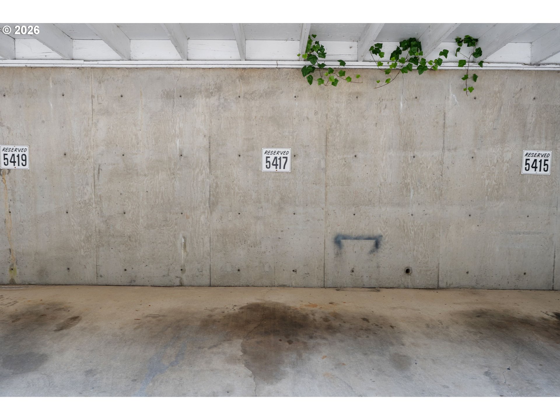 Photo #22: 357765204 Listing: Photo #22