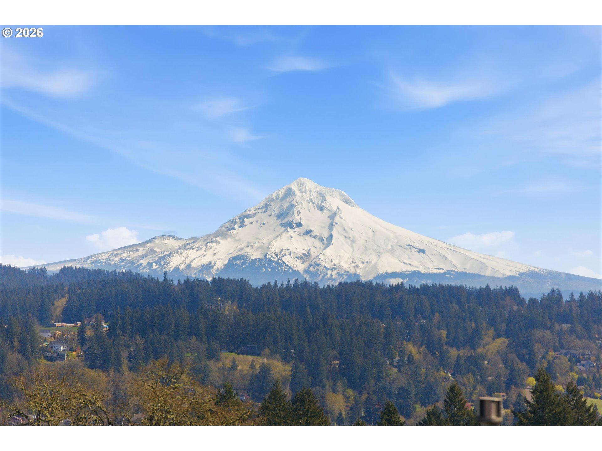 Photo #14: 358555434 Listing: Photo #14