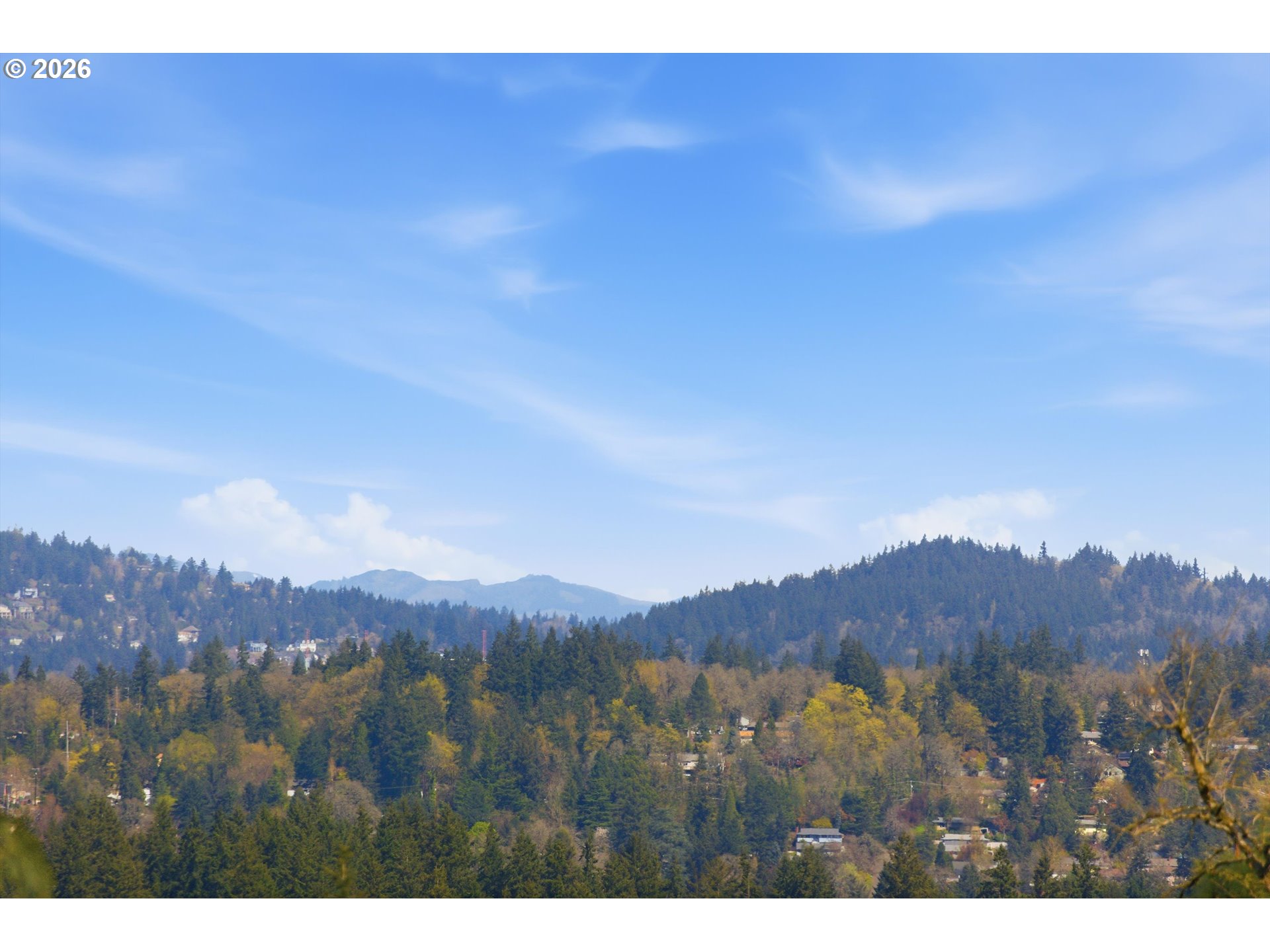 Photo #5: 358555434 Listing: Photo #5