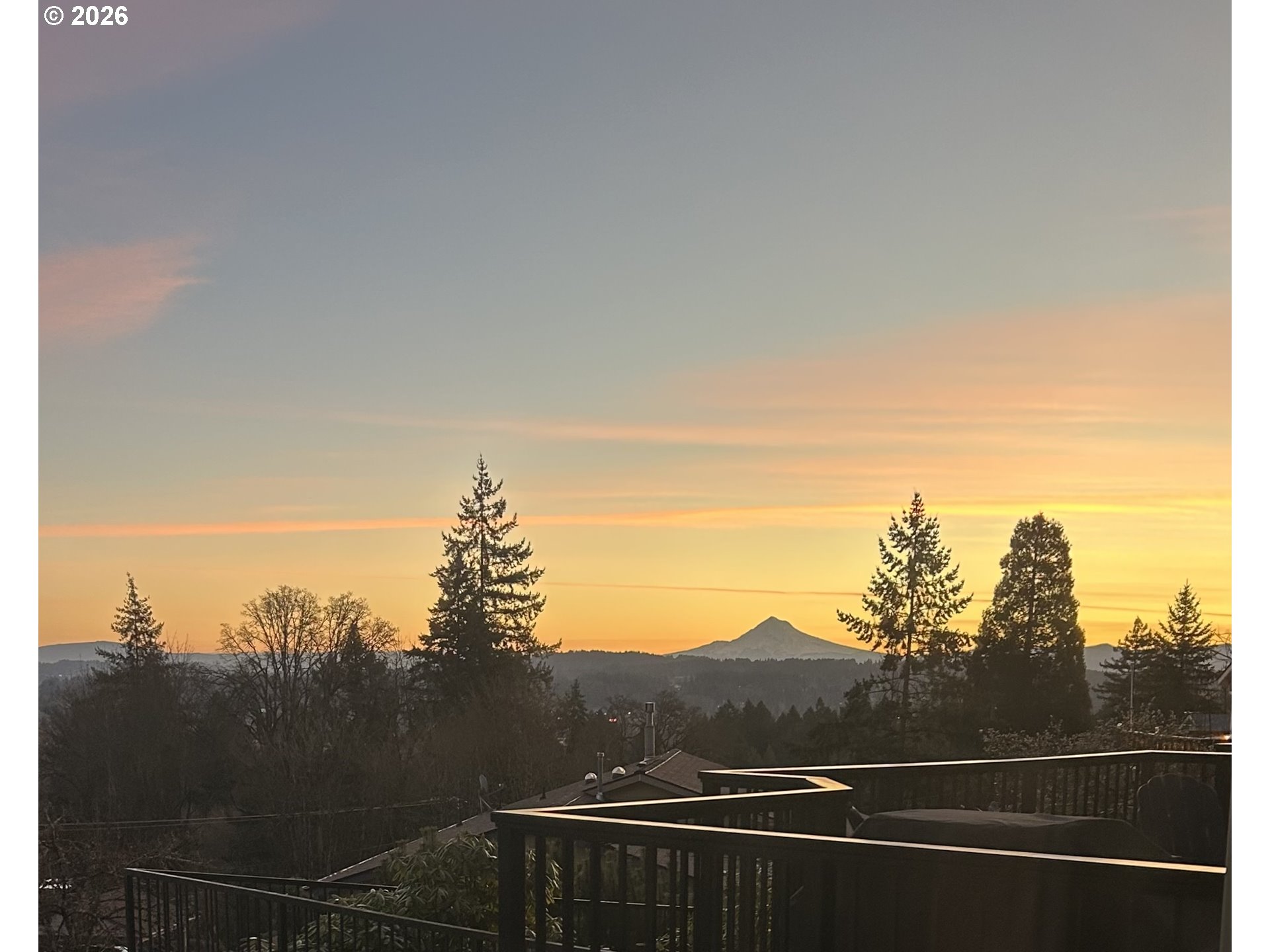 Photo #38: 358555434 Listing: Photo #38