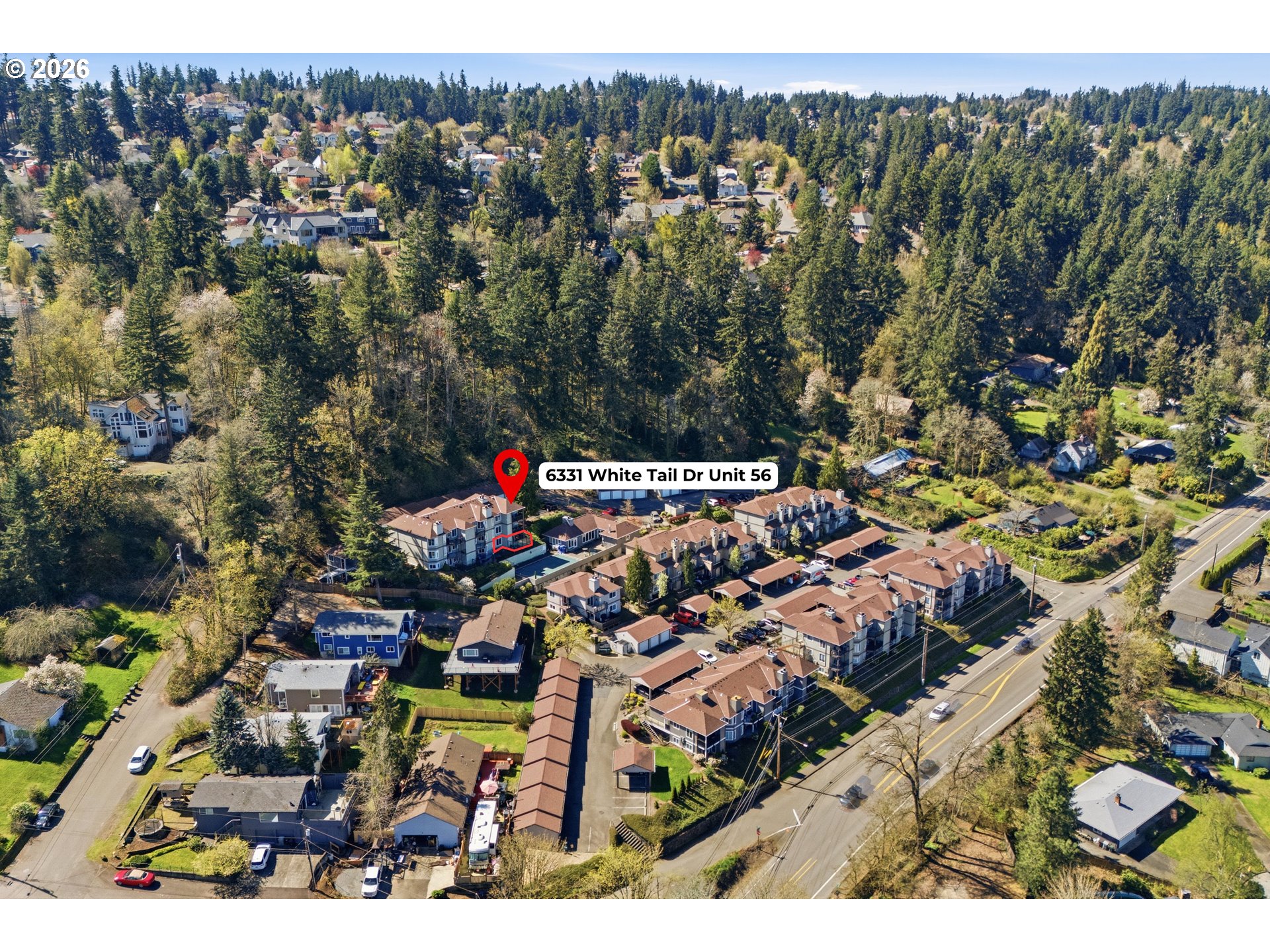 Photo #42: 358555434 Listing: Photo #42