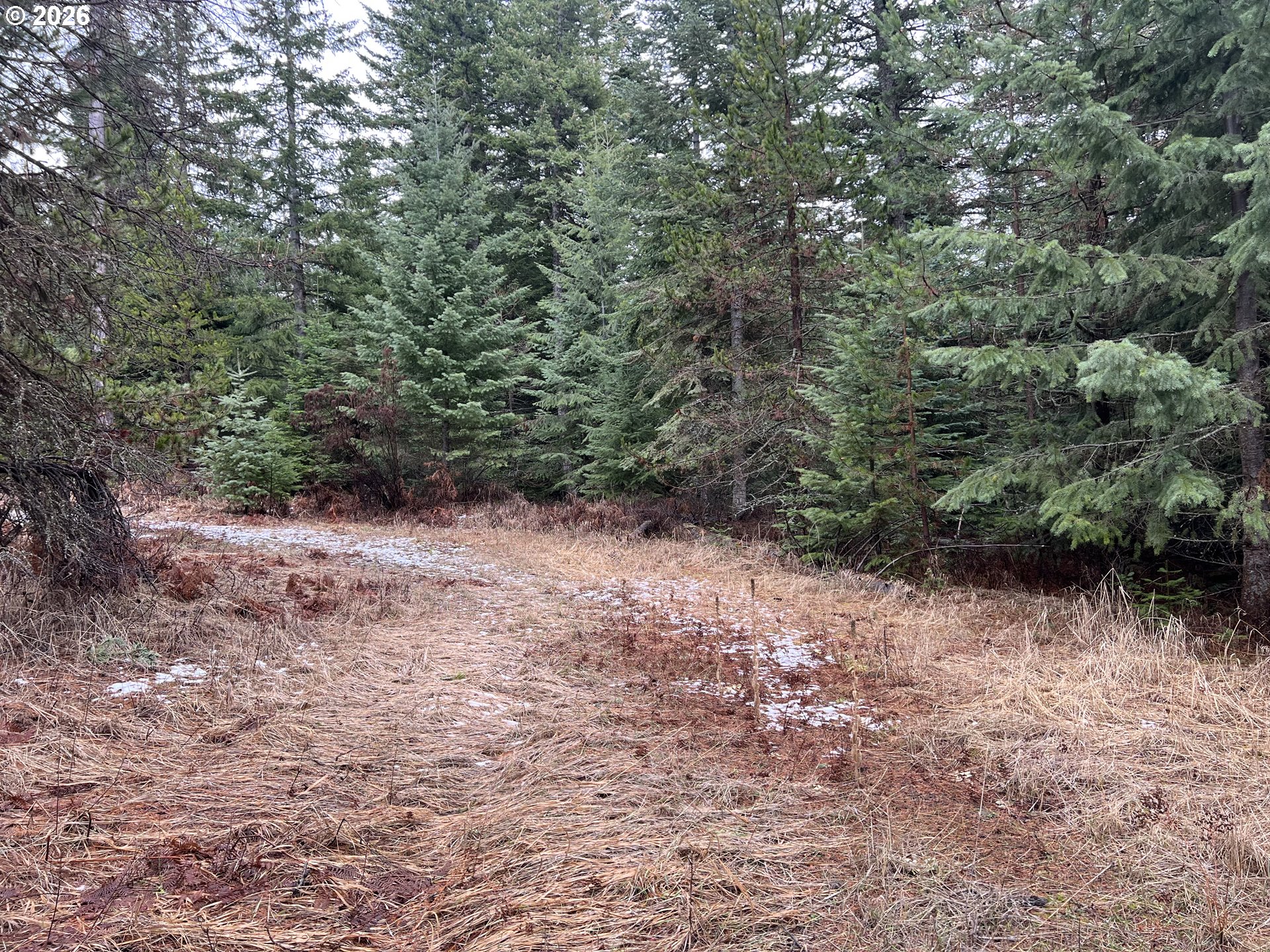 Search Homes for Sale