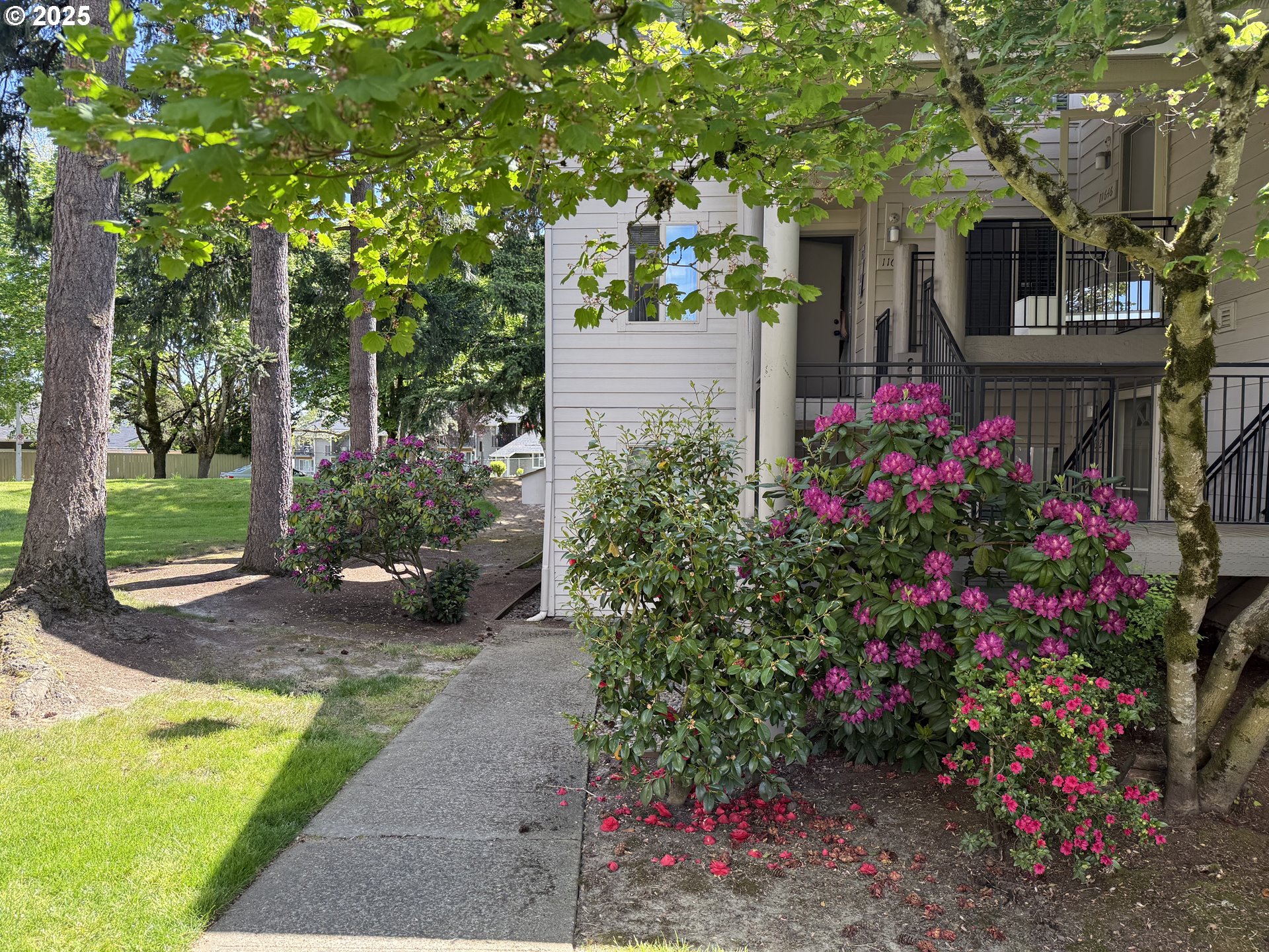 Photo #3: 361019587 Listing 