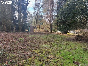 106 OLEQUA PL, Vader, WA, 98593