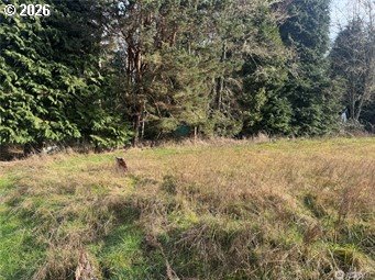 106 OLEQUA PL, Vader, WA, 98593