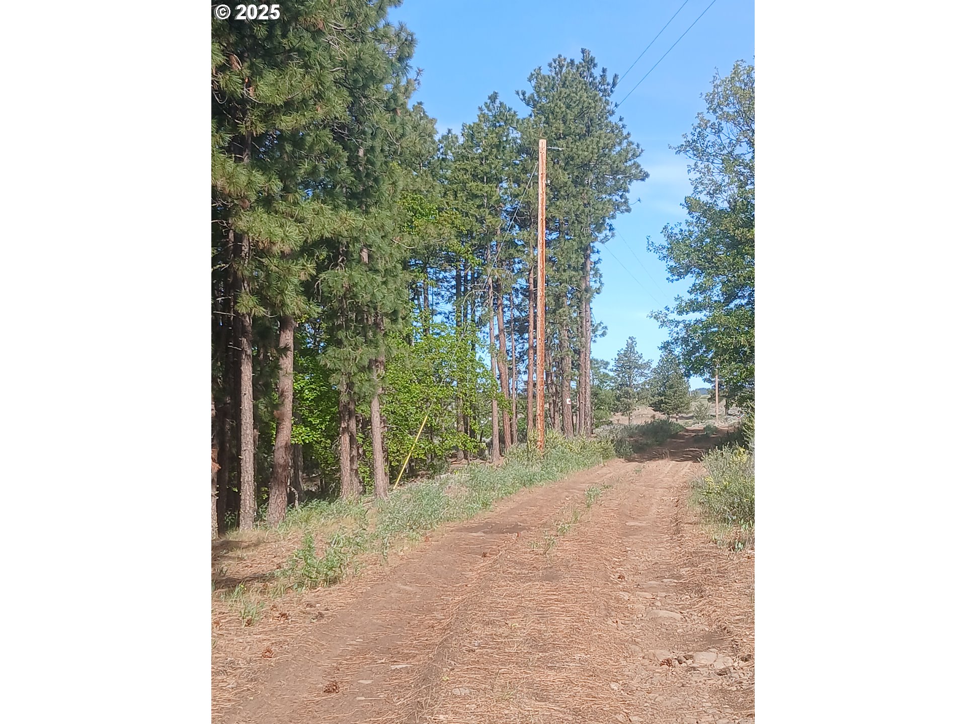 Search Homes for Sale