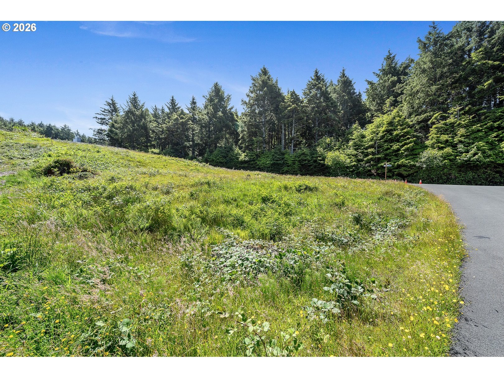 Big Cedar DR UNIT 13, Arch Cape, OR, 97102