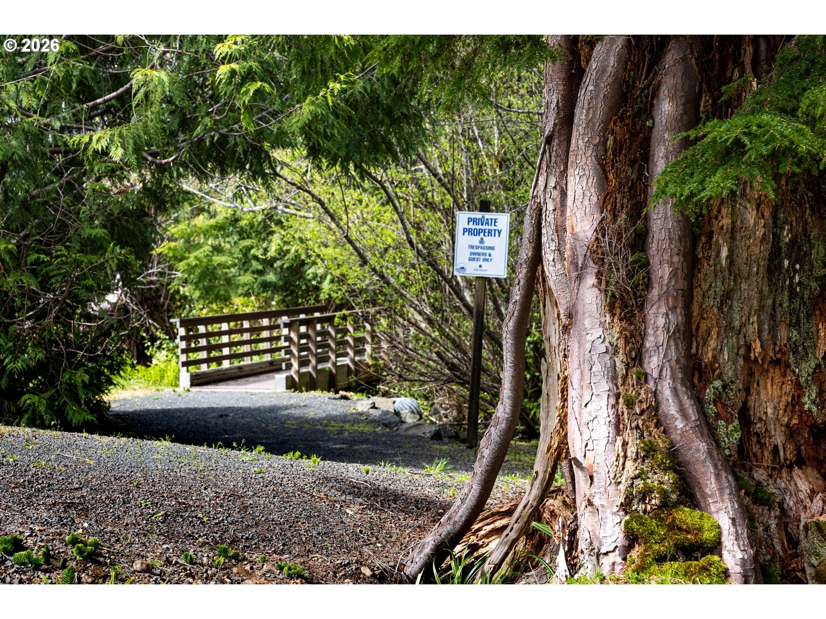 Big Cedar DR UNIT 13, Arch Cape, OR, 97102