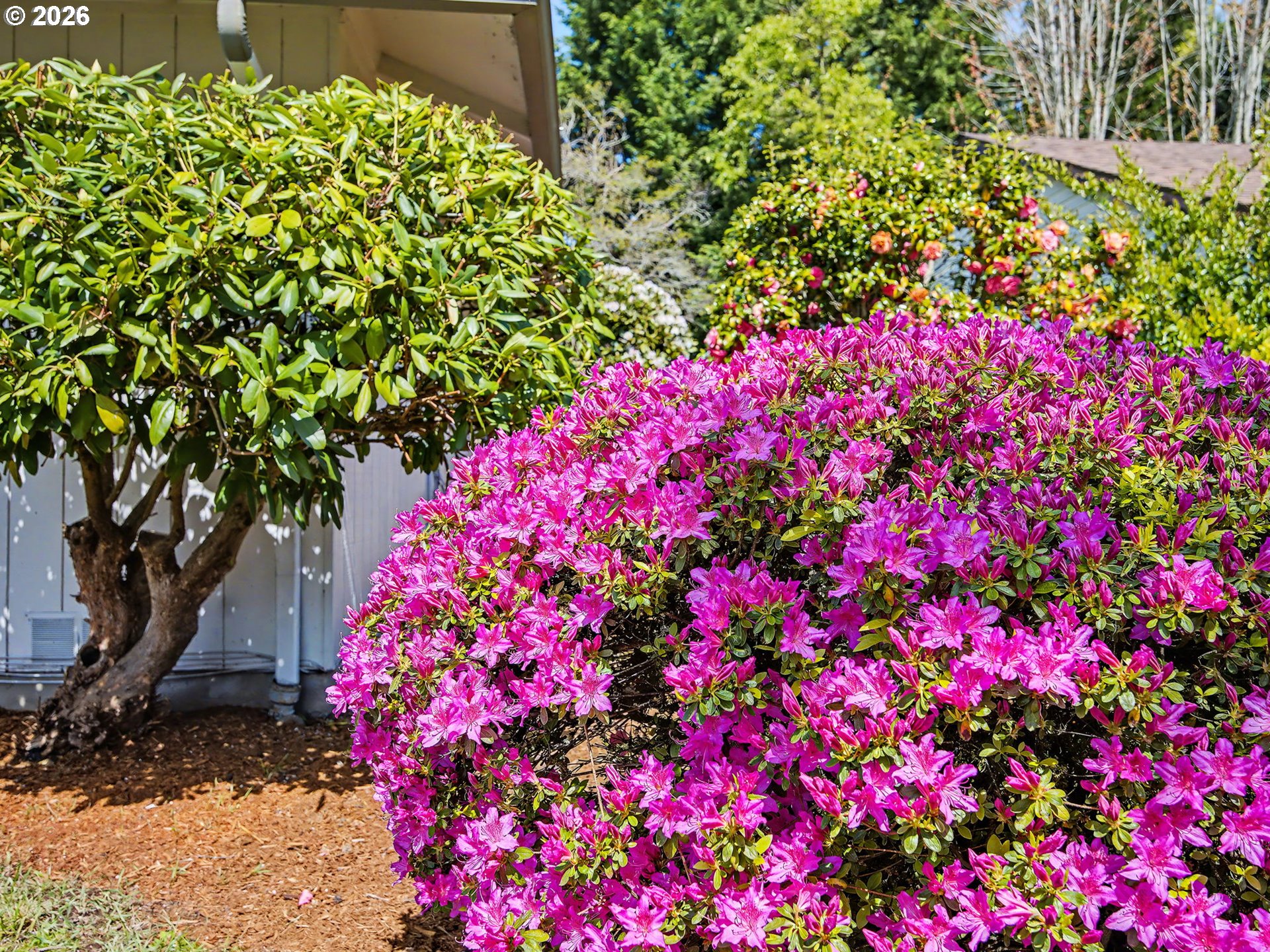 815 NE 25TH ST, Gresham, OR, 97030