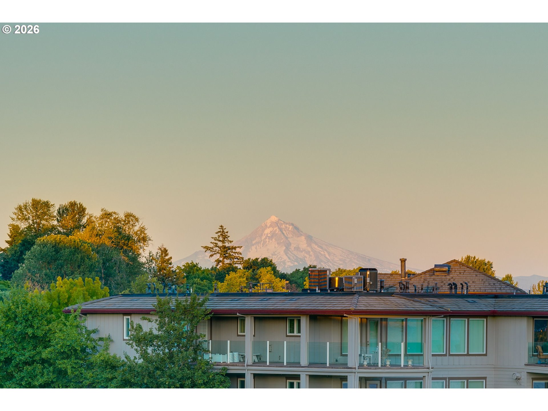 Photo #19: 366473707 Listing: Photo #19