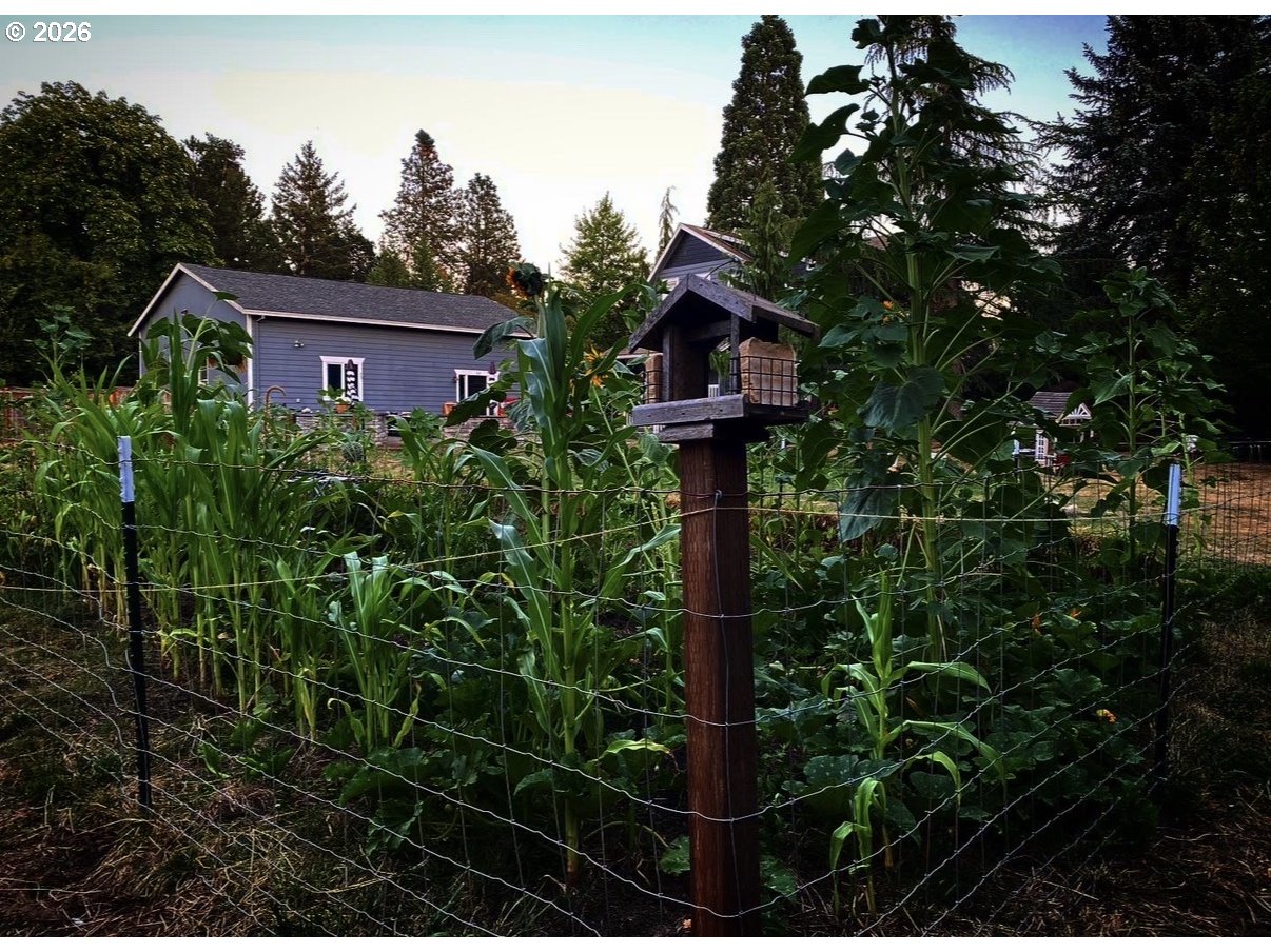 24305 NE HIGHWAY 240, Newberg, OR, 97132