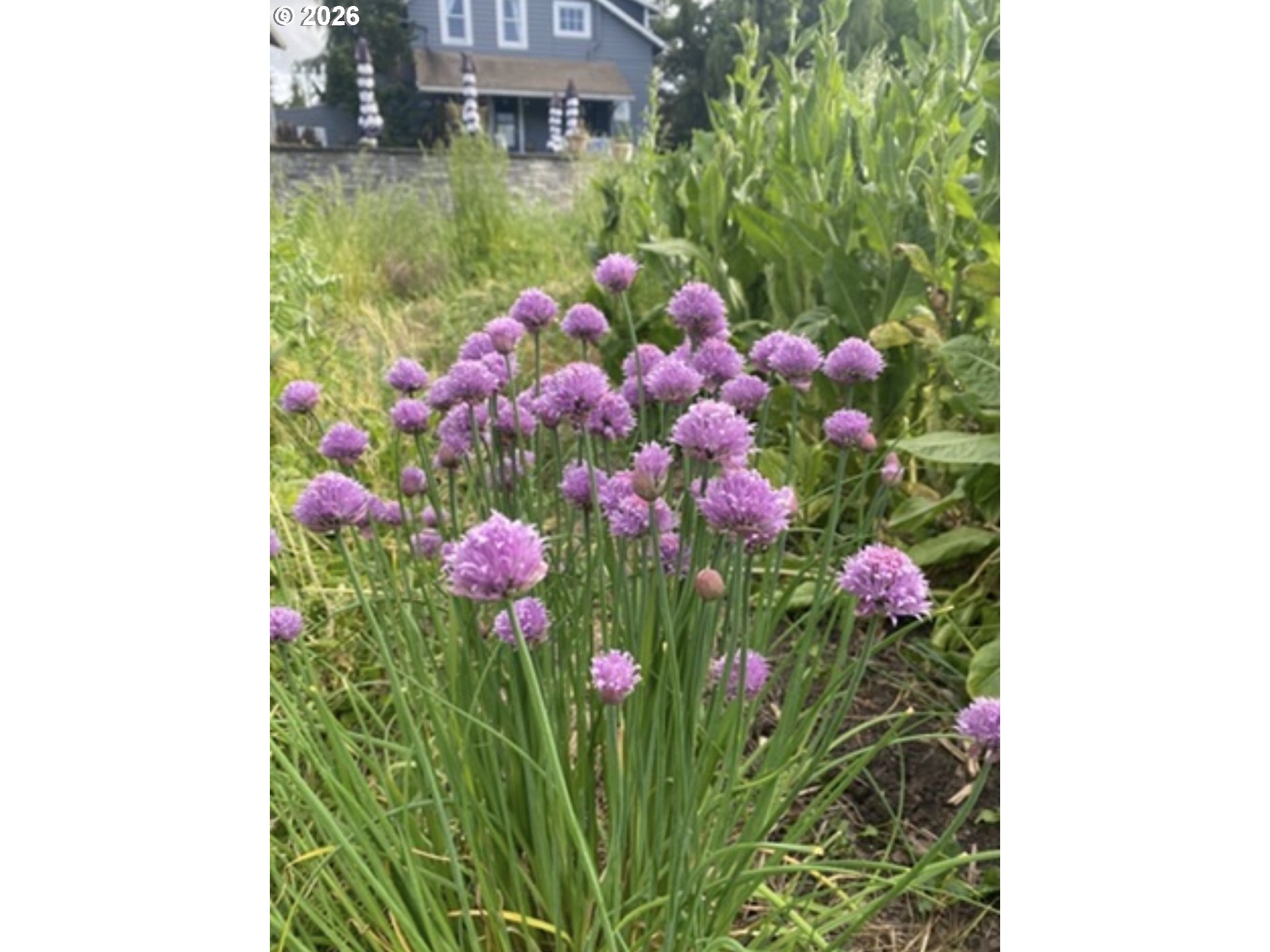 24305 NE HIGHWAY 240, Newberg, OR, 97132