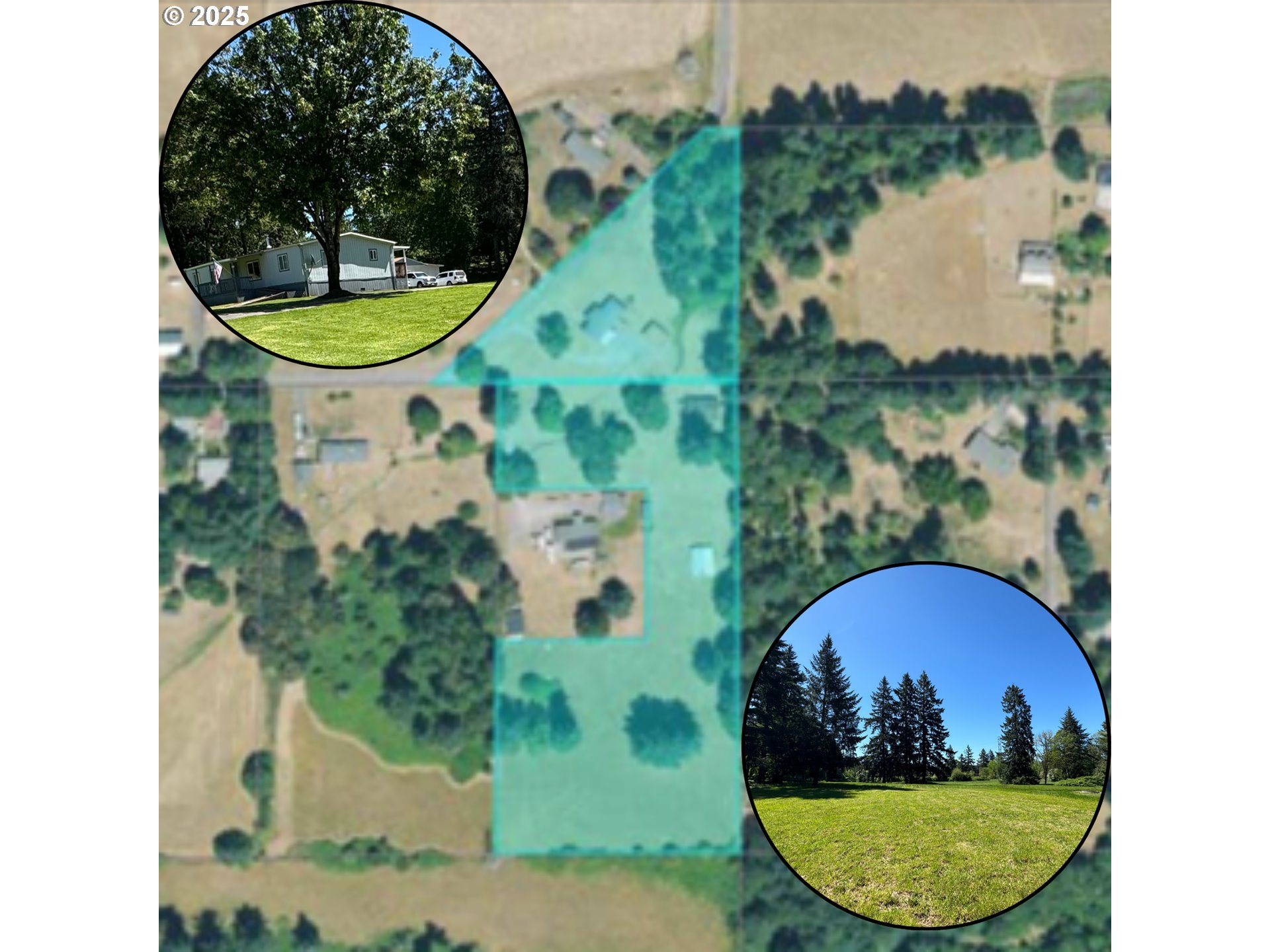 Camas & Washougal, WA