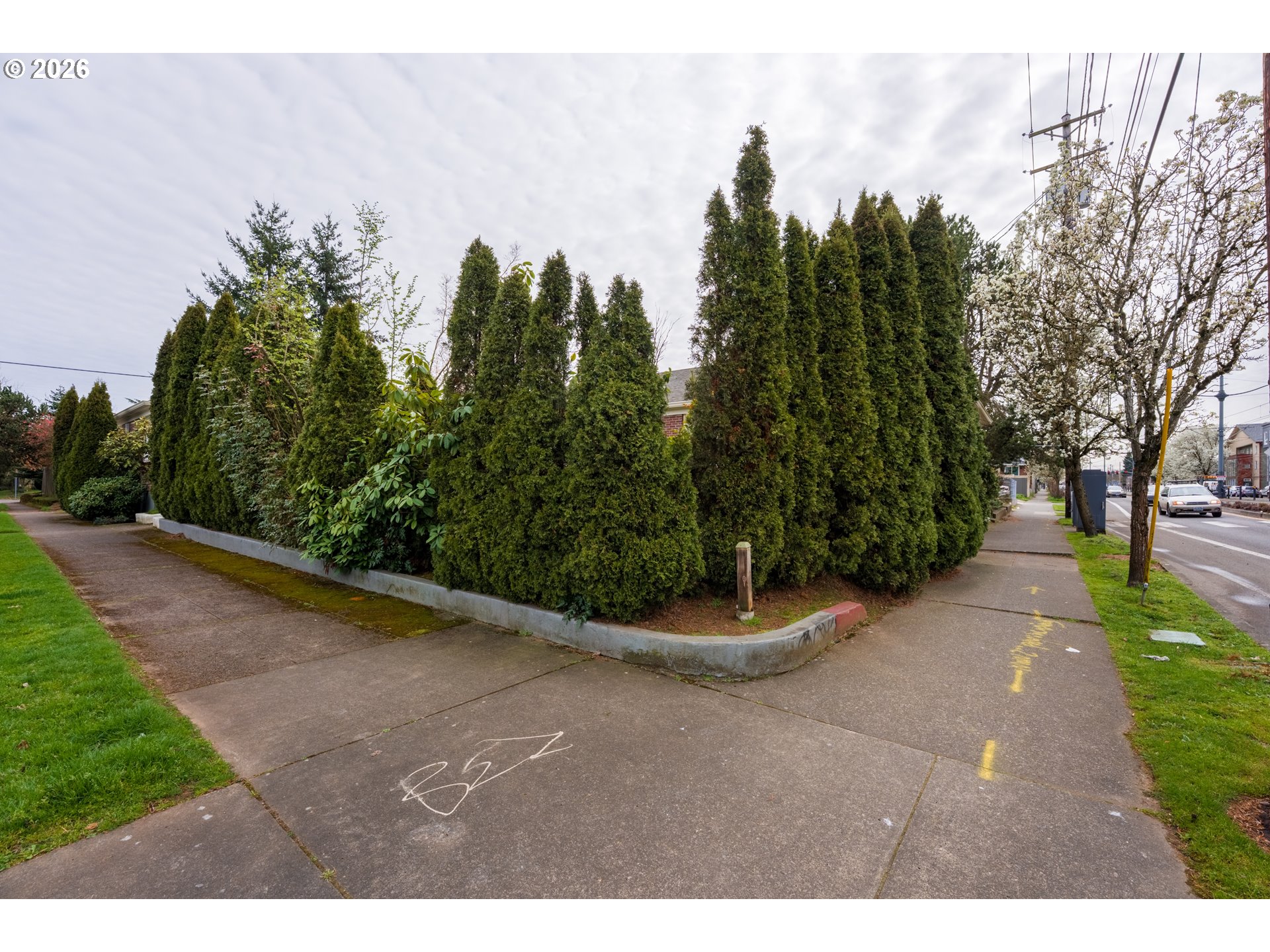 Photo #5: 368366838 Listing: Photo #5