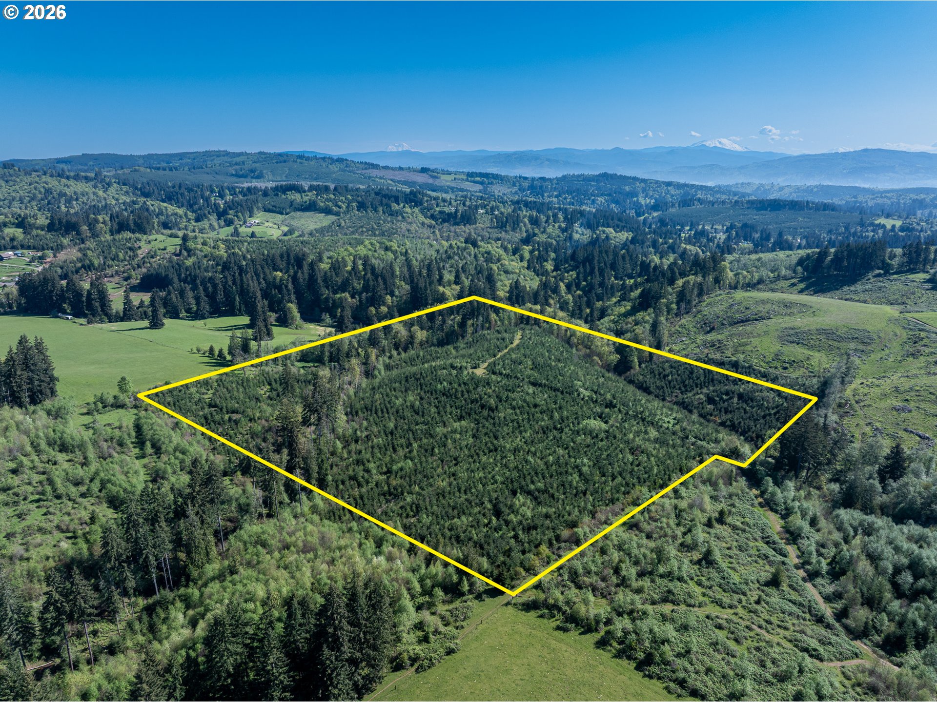 Search Homes for Sale