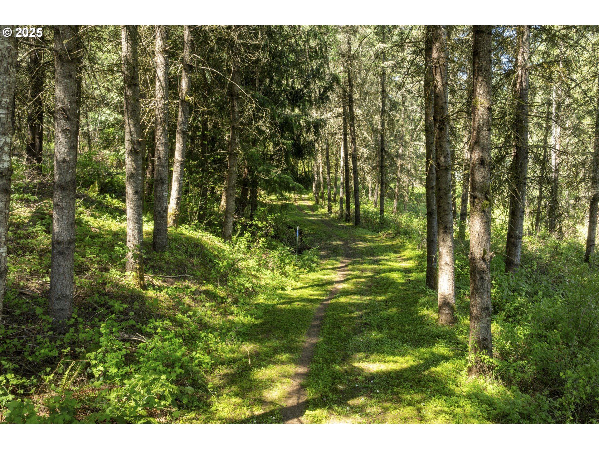 15051 NW CRANE LN, Yamhill, OR, 97148
