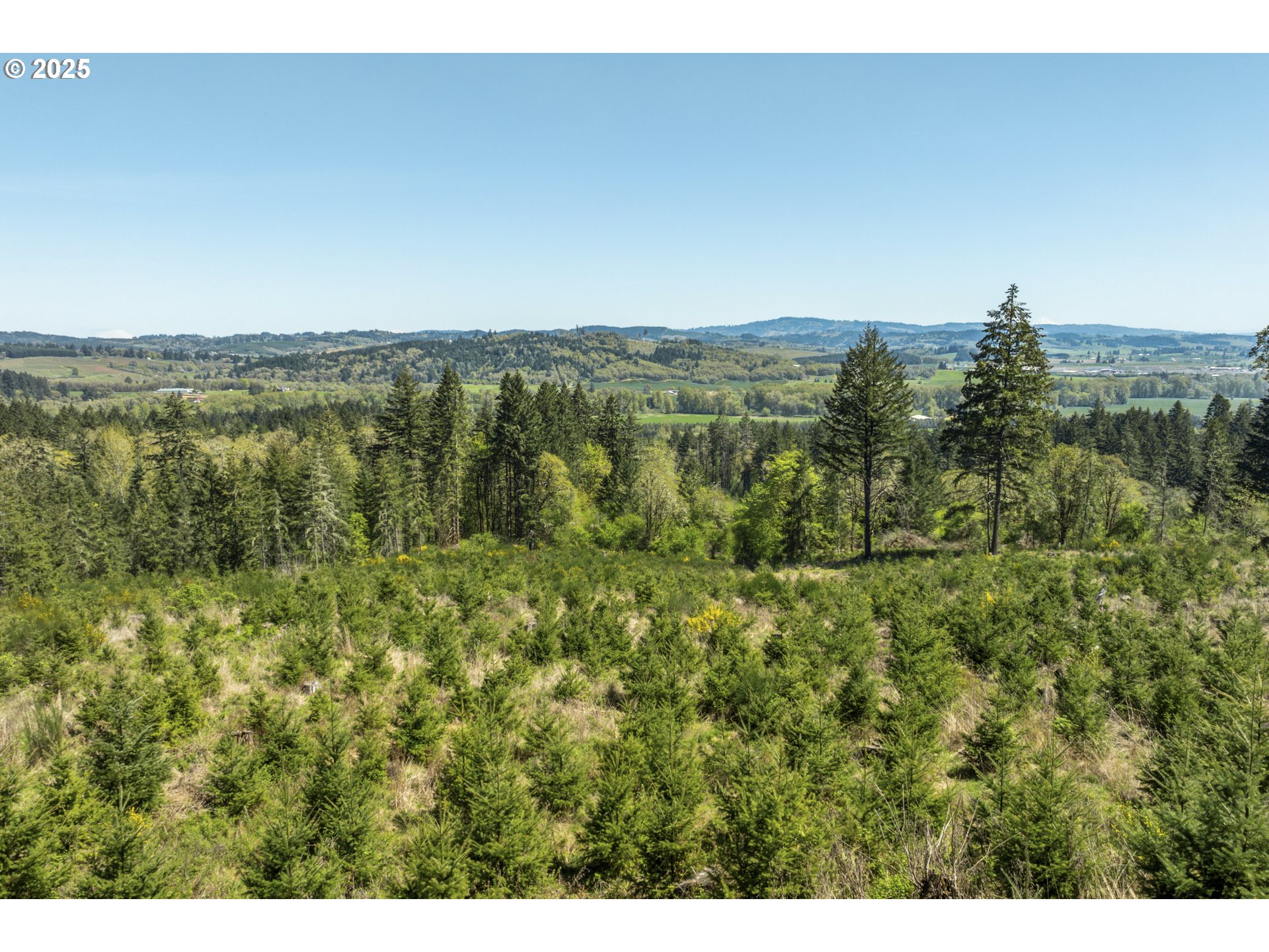 15051 NW CRANE LN, Yamhill, OR, 97148