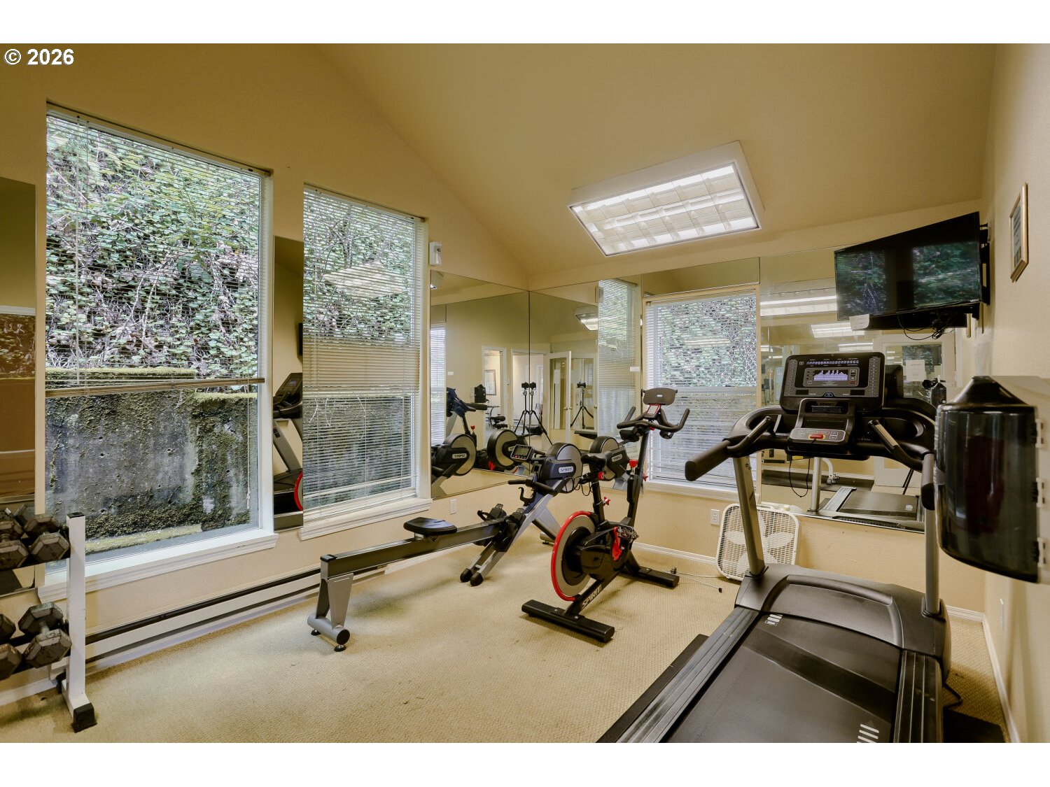 Photo #13: 369625786 Listing: Photo #13