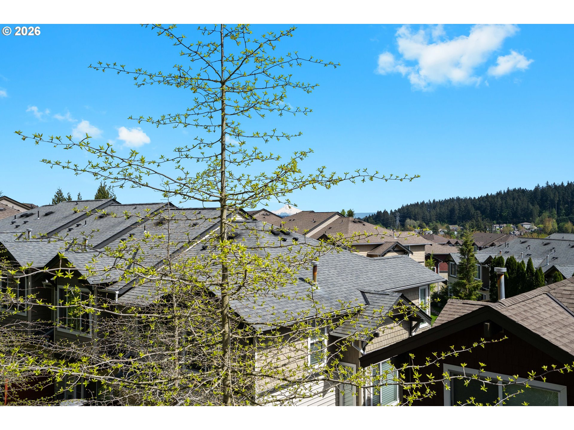 Photo #7: 371001958 Listing: Photo #7