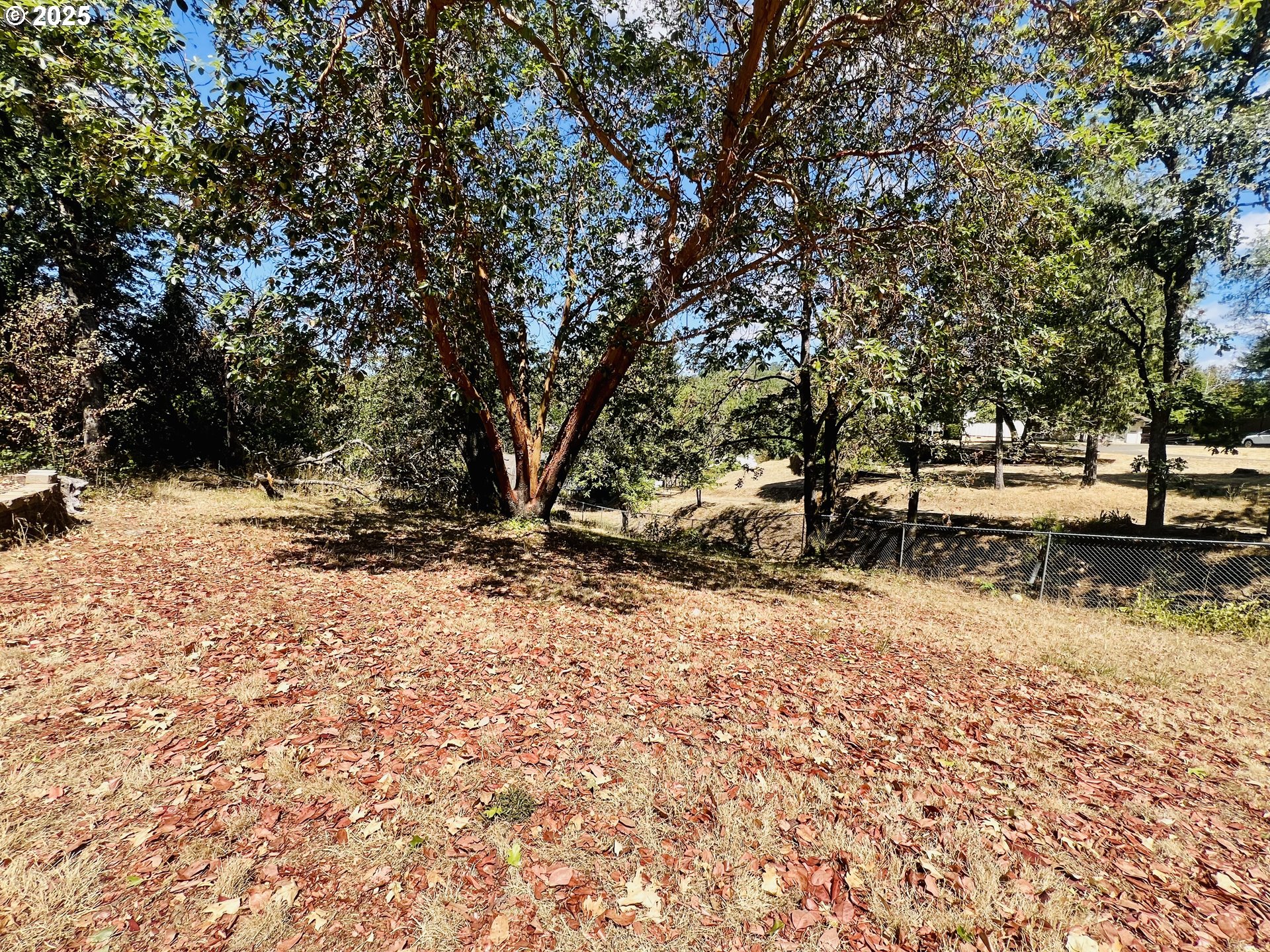 119 OAKBOURNE LN, Winchester, OR, 97495