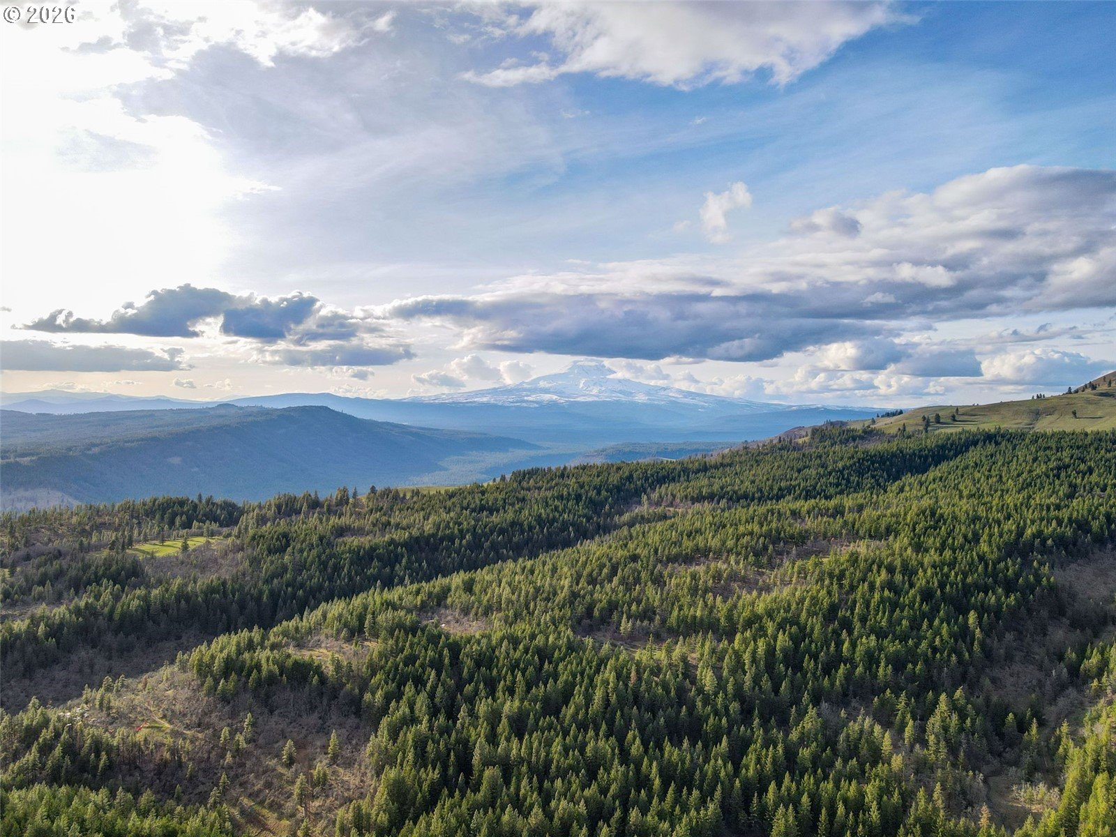 Search Homes for Sale