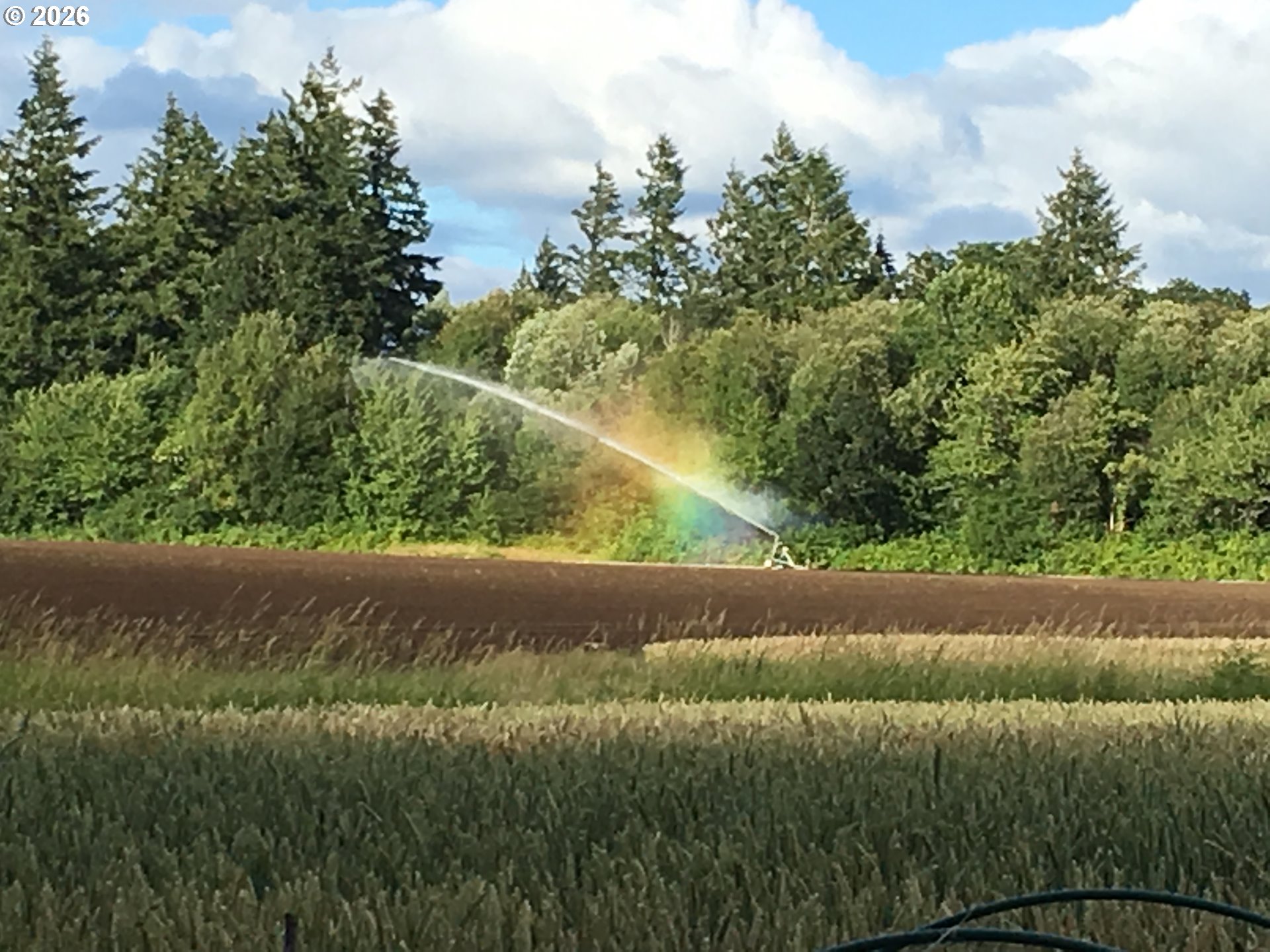 12131 NW HIGHWAY 47, Forest Grove, OR, 97116