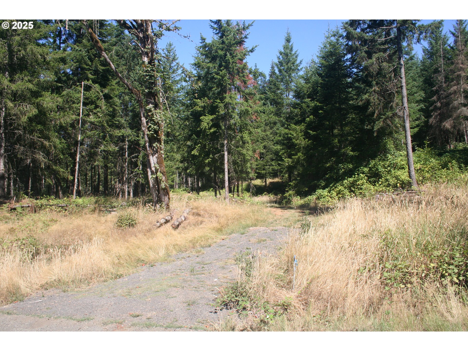 TL UNIT&nbsp;0707469 Shilling (LOT 2) Dr, Scio, OR, 97374