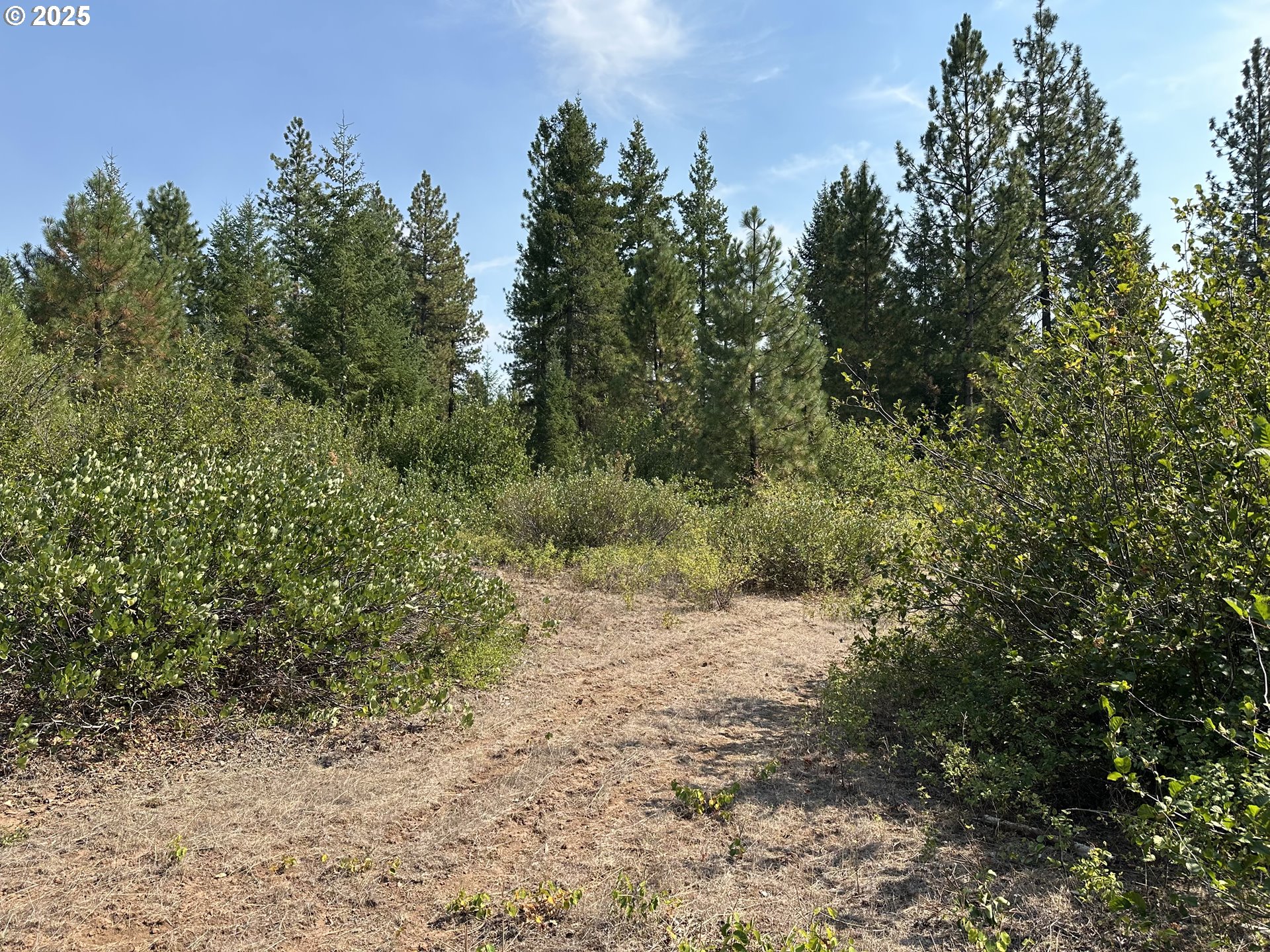 Search Homes for Sale