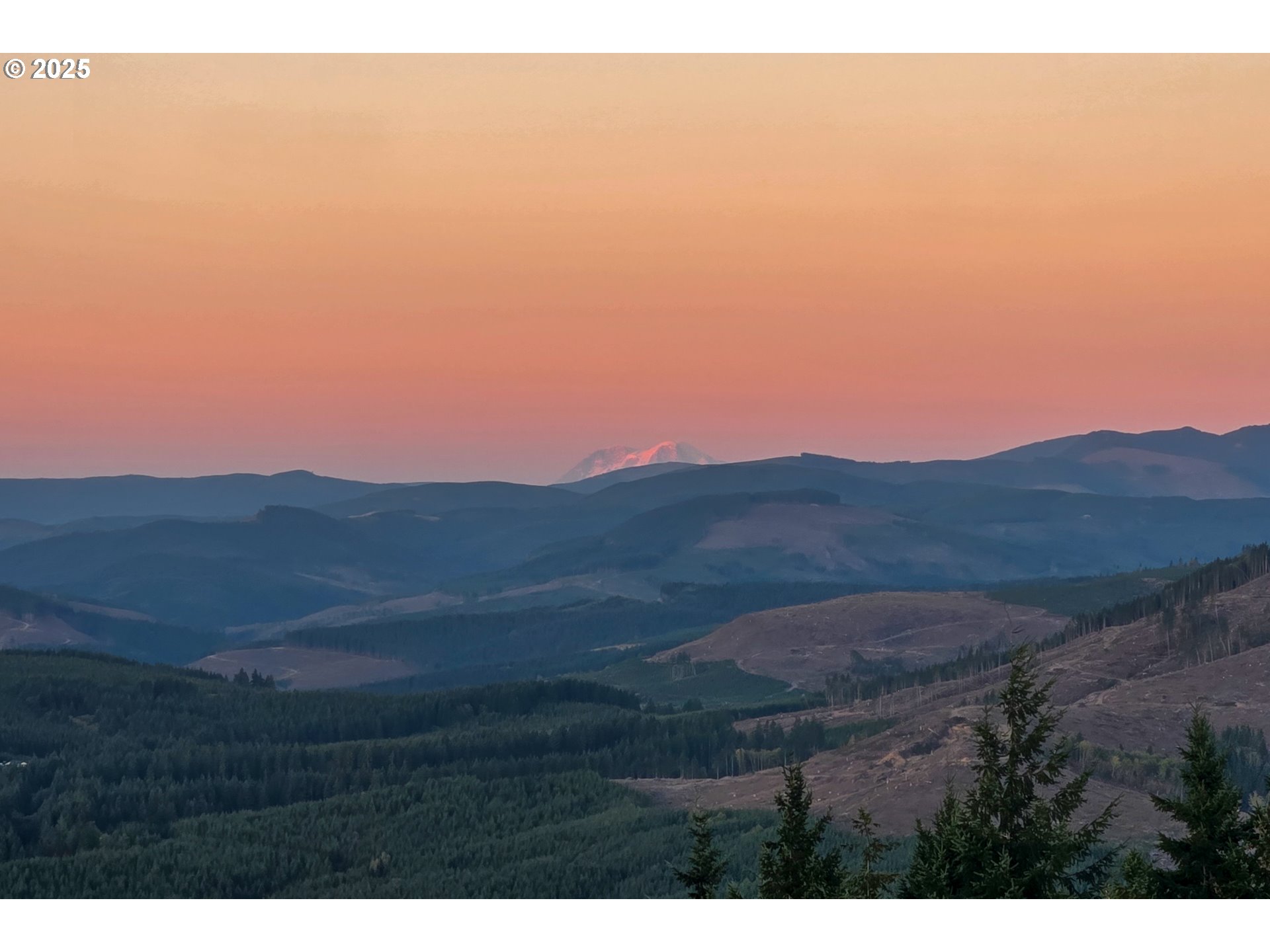 421 WOODLAND HEIGHTS RD, Woodland, WA, 98674