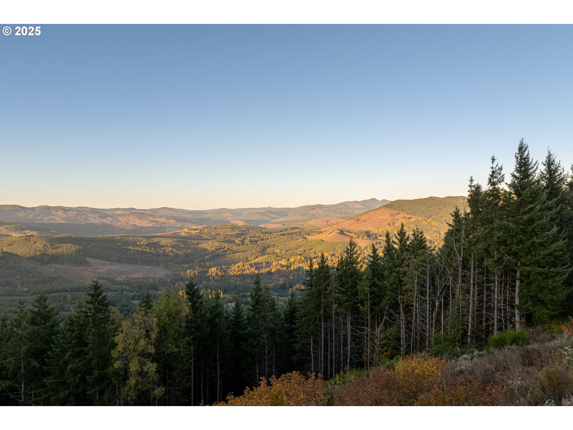 421 WOODLAND HEIGHTS RD, Woodland, WA, 98674