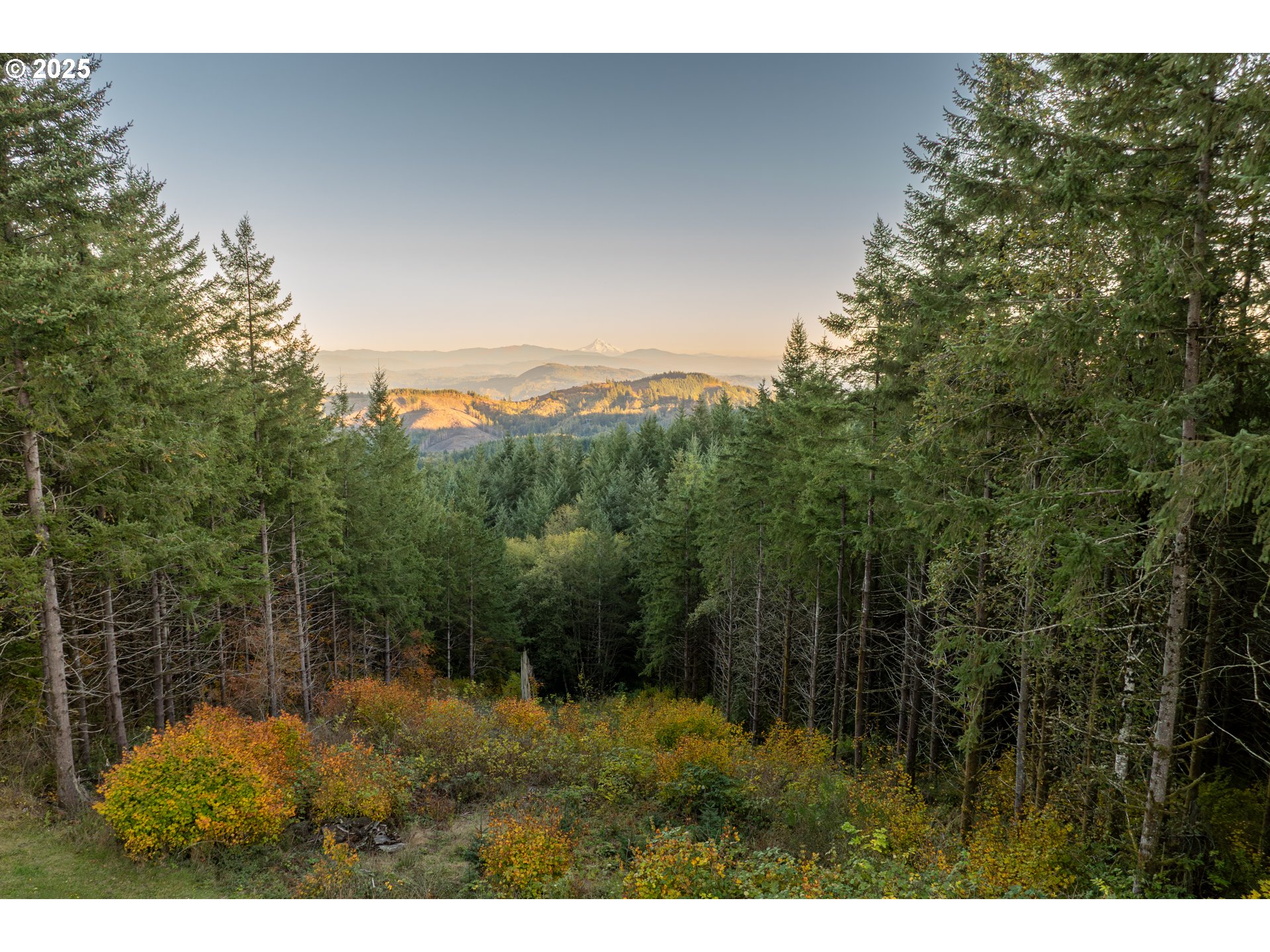 421 WOODLAND HEIGHTS RD, Woodland, WA, 98674