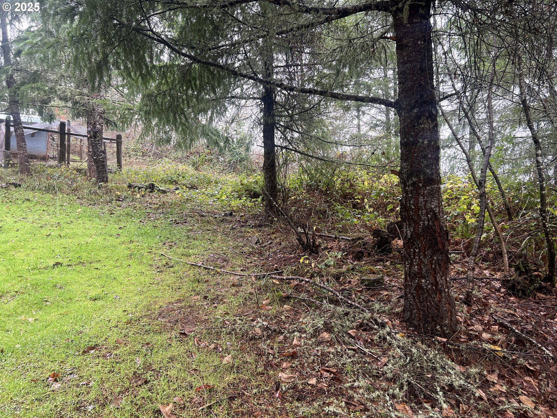 82964 HUNGRY HILL RD, Creswell, OR, 97426