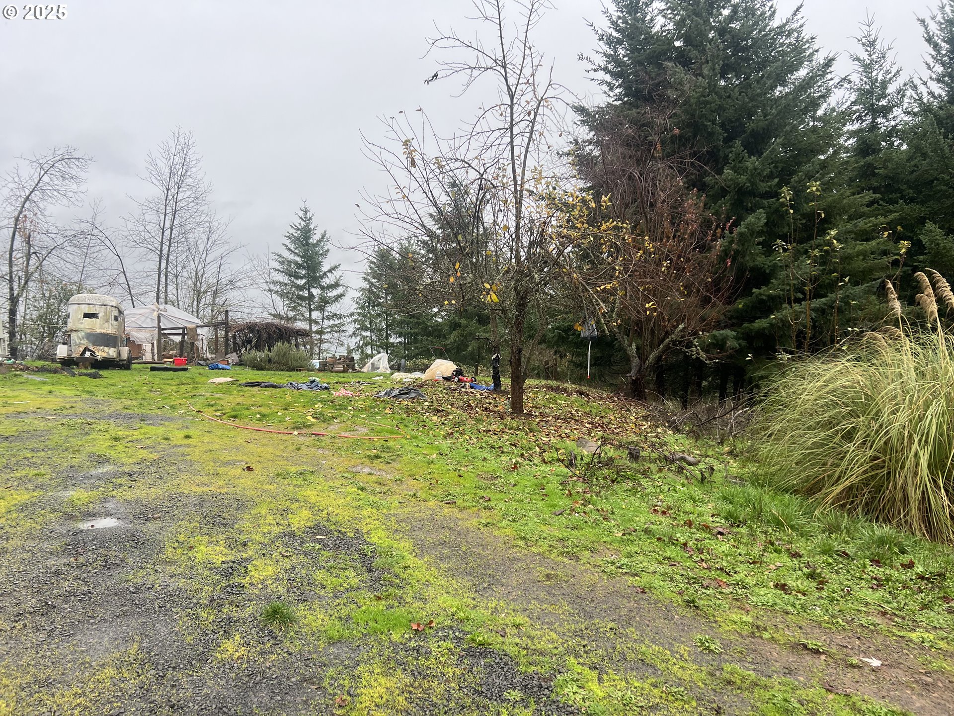 82964 HUNGRY HILL RD, Creswell, OR, 97426