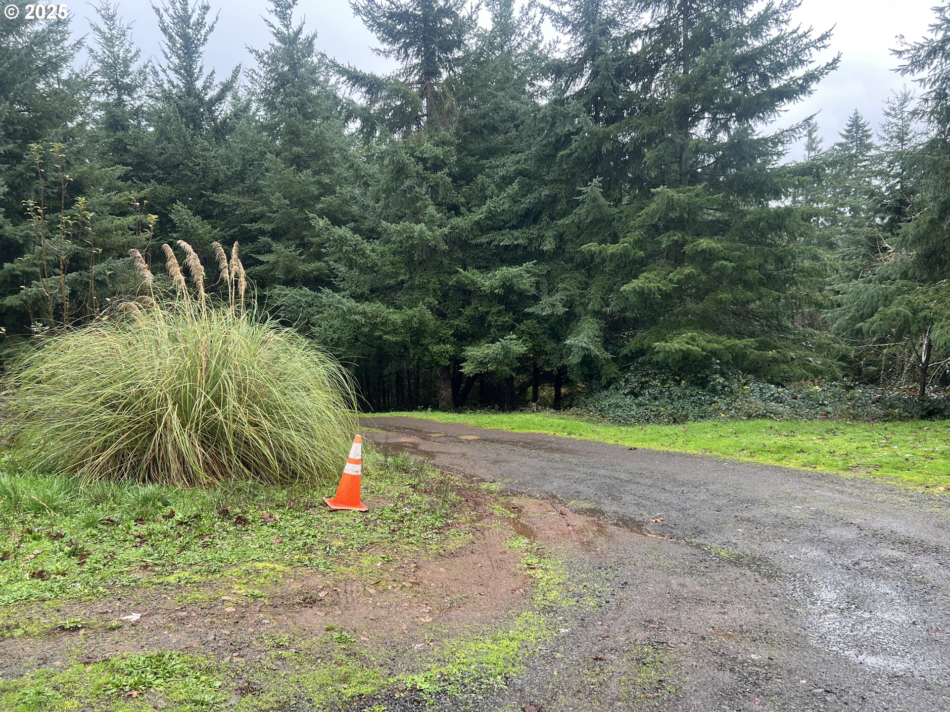 82964 HUNGRY HILL RD, Creswell, OR, 97426