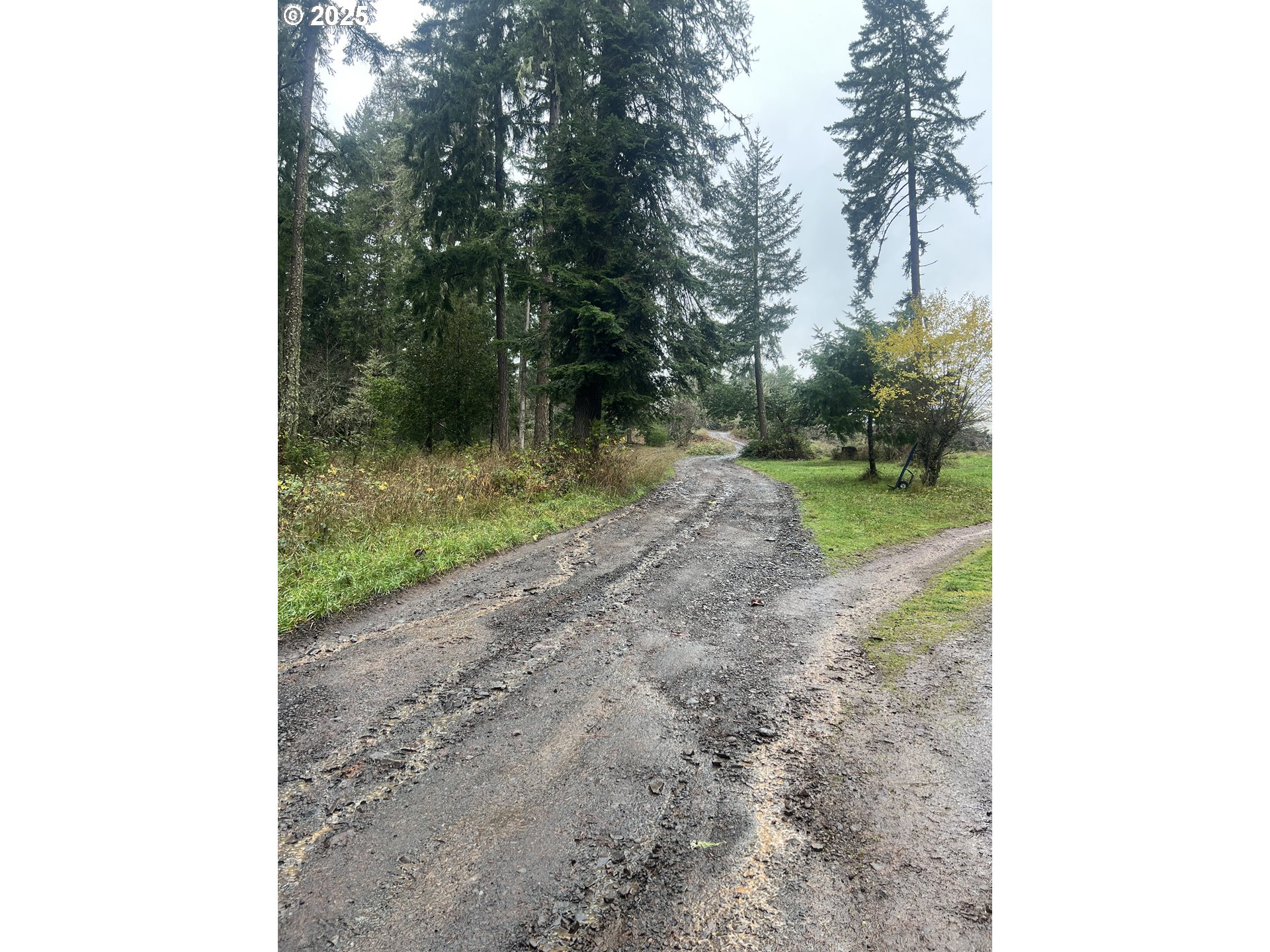 82964 HUNGRY HILL RD, Creswell, OR, 97426