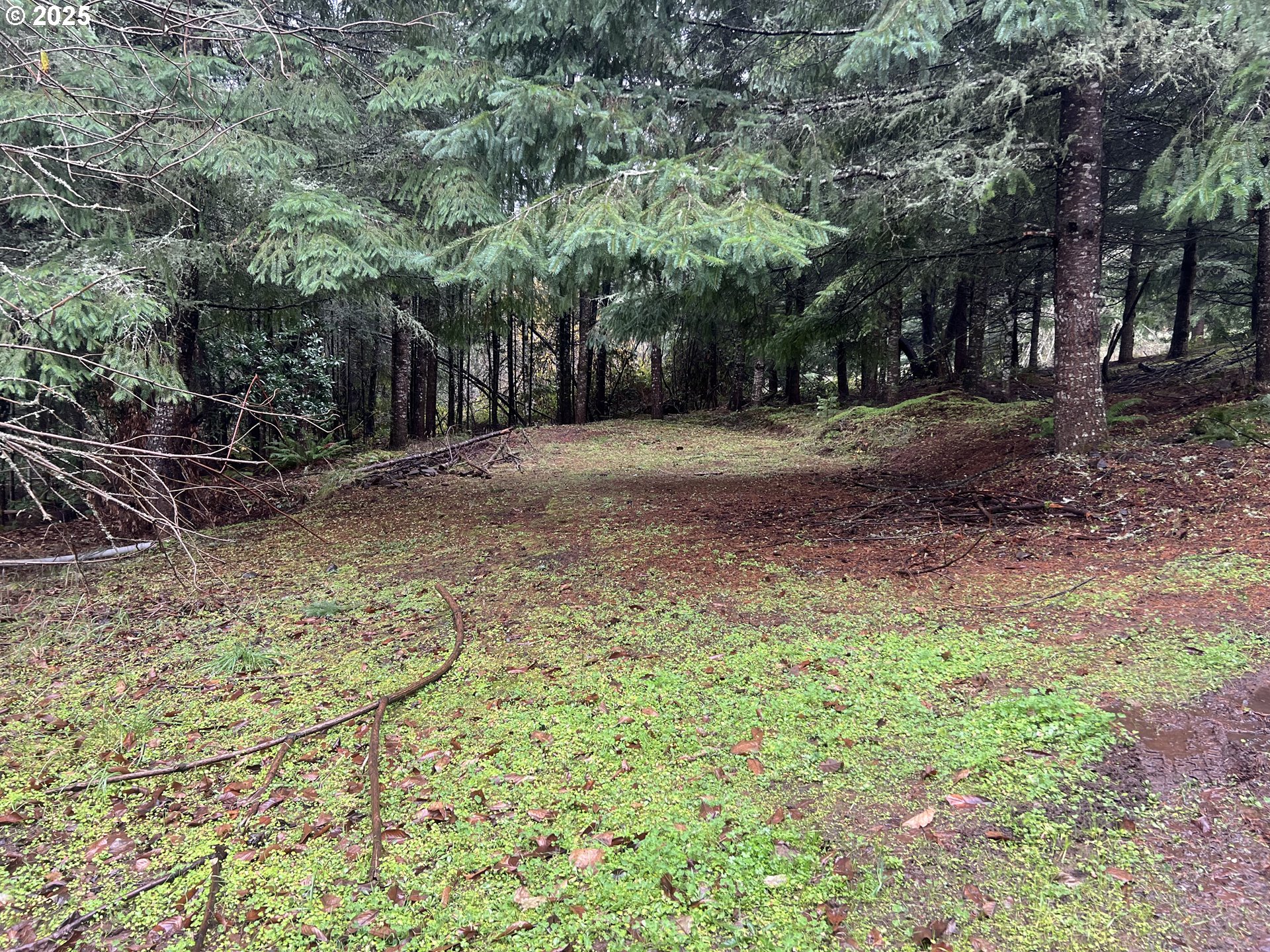 82964 HUNGRY HILL RD, Creswell, OR, 97426