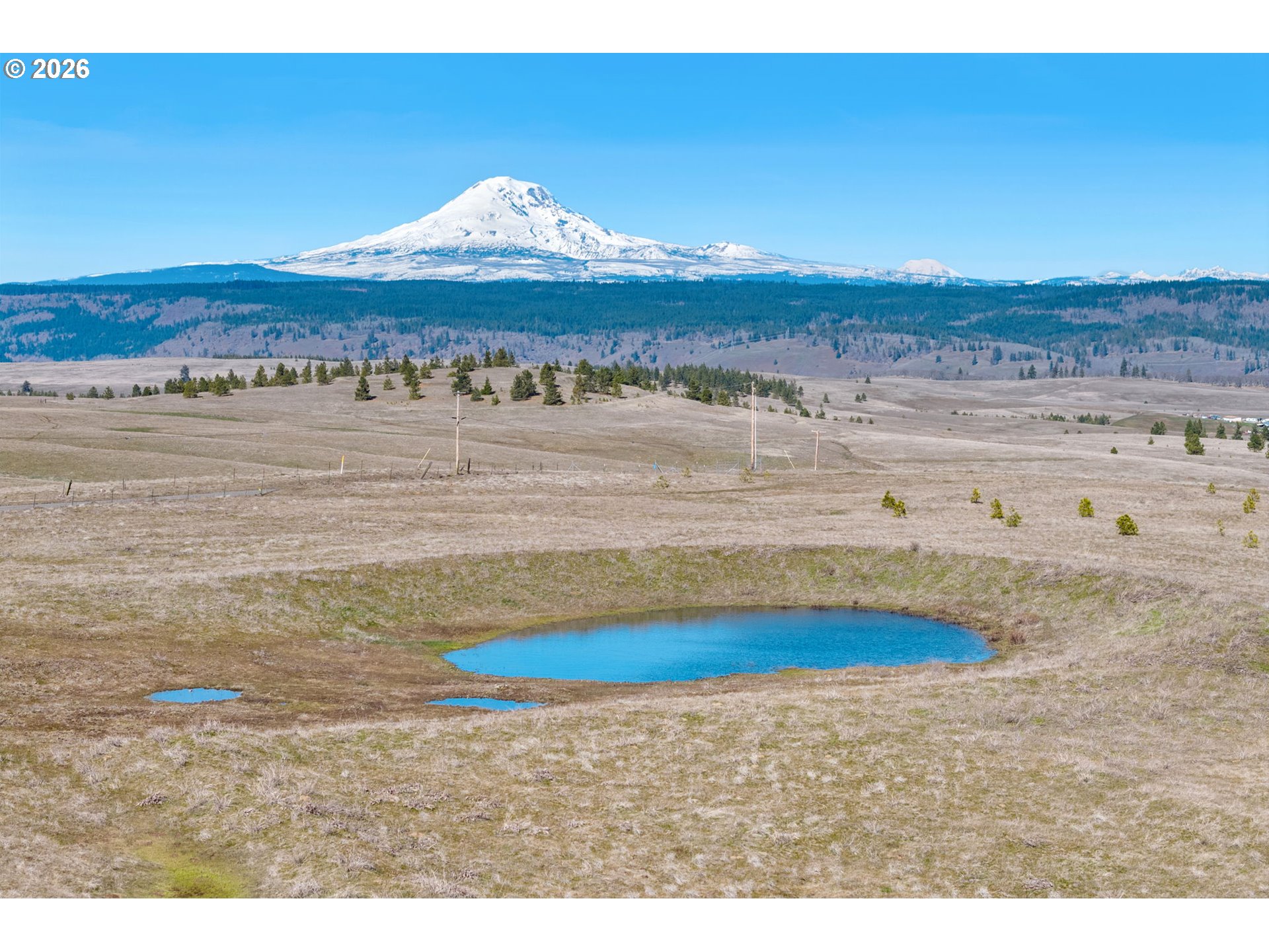 Search Homes for Sale