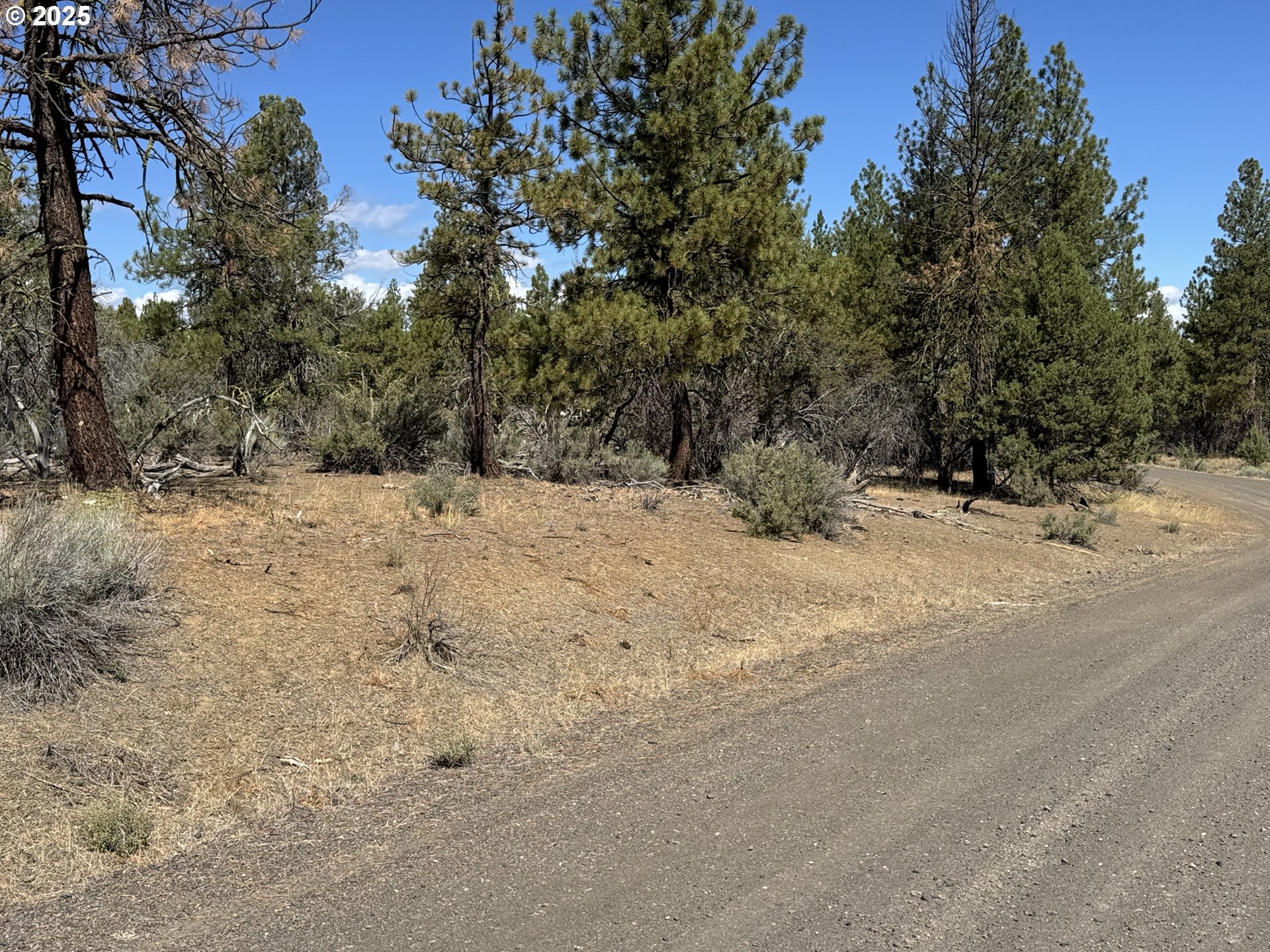 Search Homes for Sale